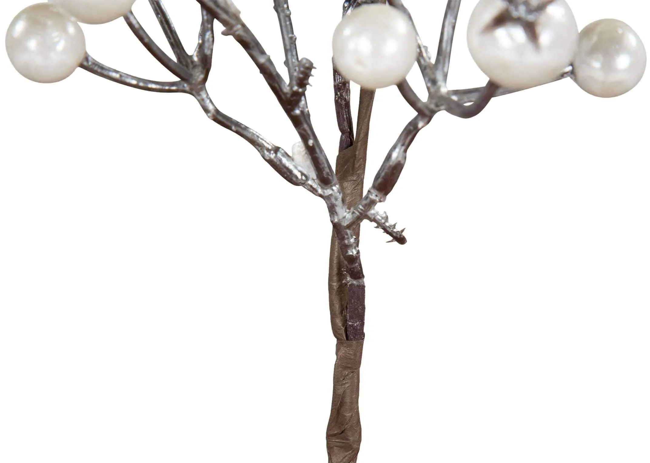 A close up bottom view of the Christmas Pearl Spray highlighting the brown branch of the tree.