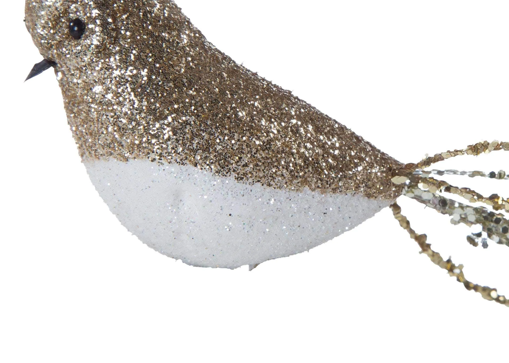 A bottom view of the Christmas bird with long tail highlighting the white work at the bottom body of the bird.