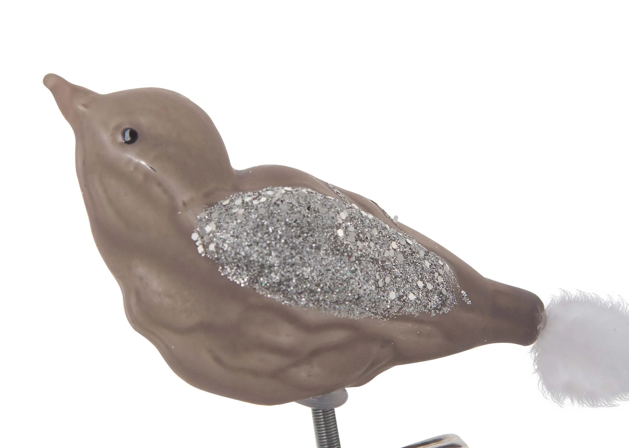 A close up of the head