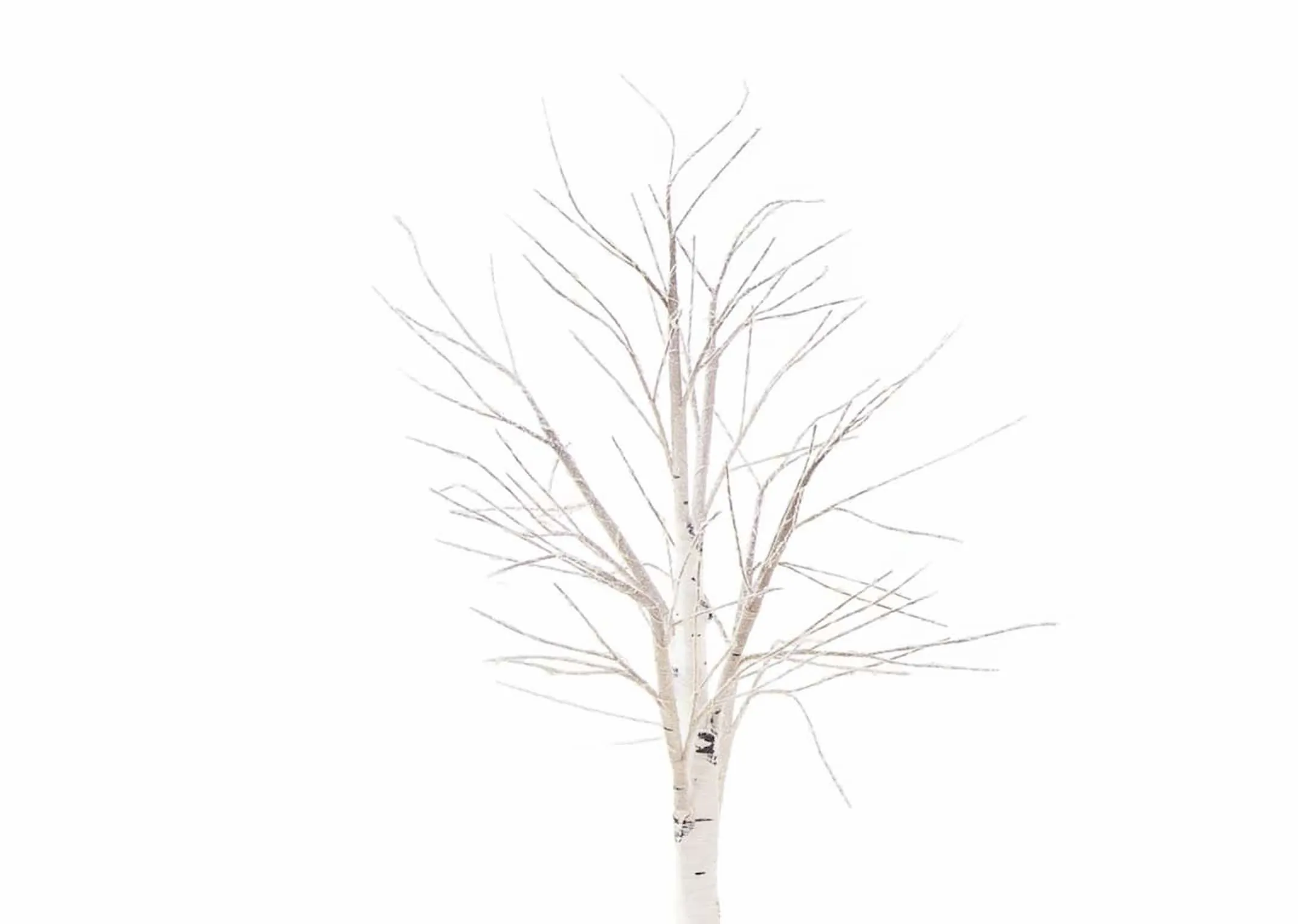 A small birch decorative tree on stand with 300 led lights from EZ Living Furnitures Christmas range. Closeup with lights of