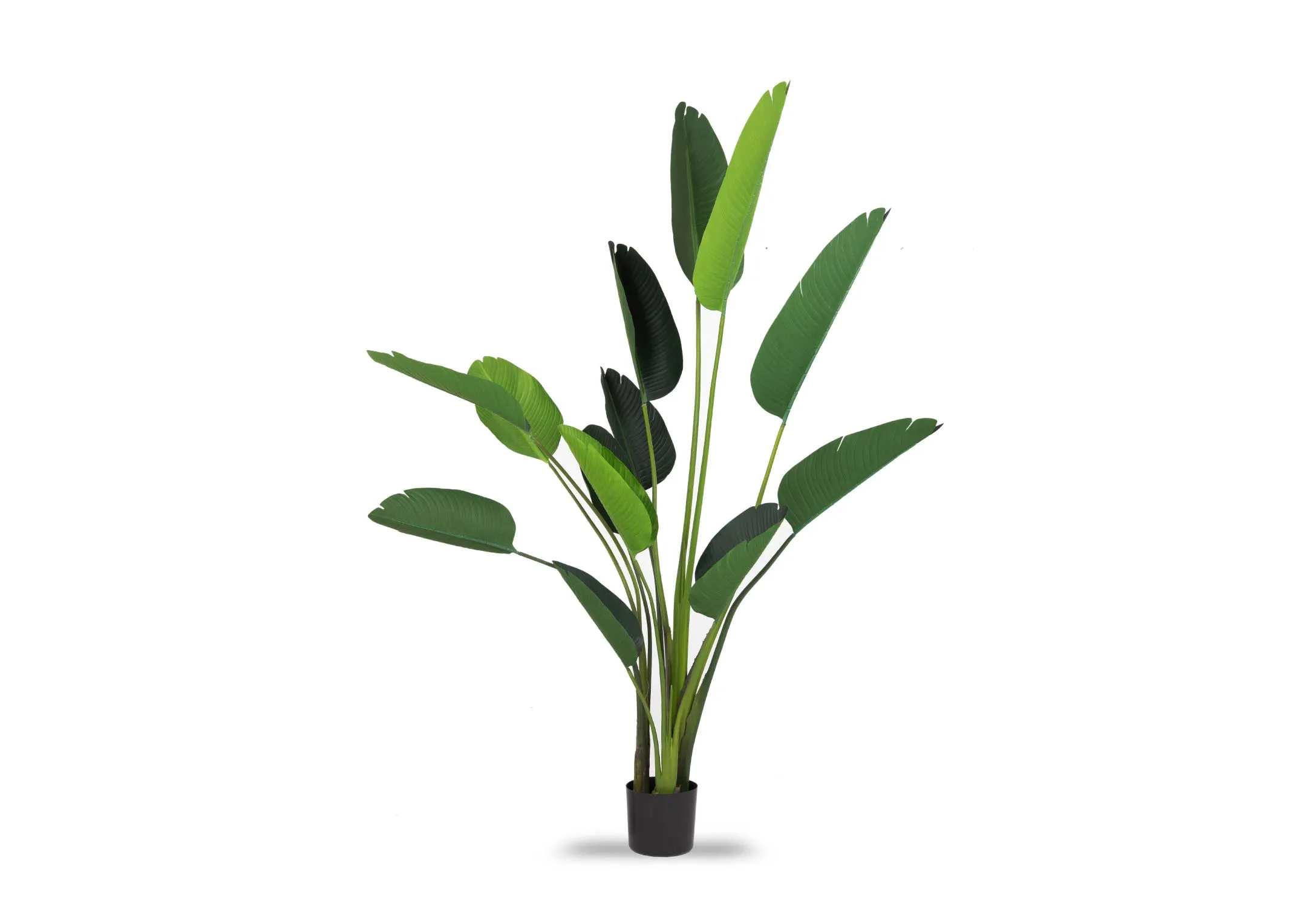 A large artificial strelitizia plant in a black pot from EZ Living's Olive collection.