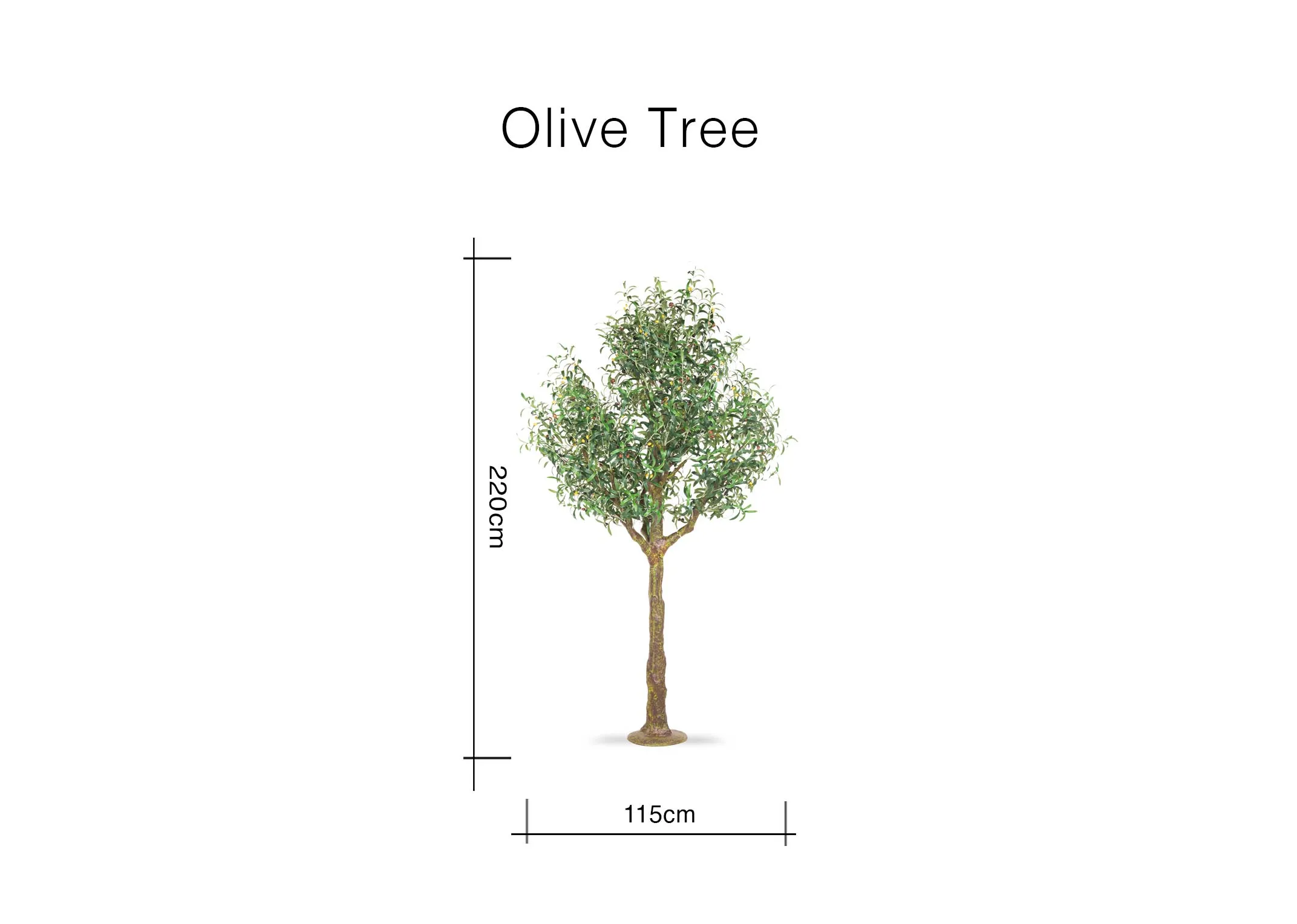 A dimension image of the Large Olive tree with metal stand with 115cm x 220cm
