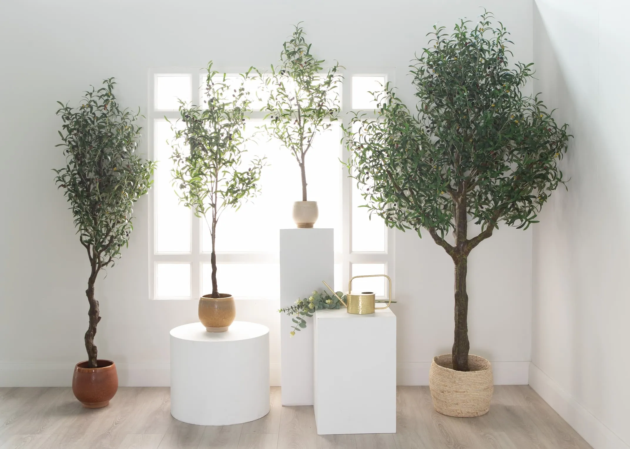 A creative lifestyle image of the Olive Collection with Large Olive tree on stand to the right in a basket.