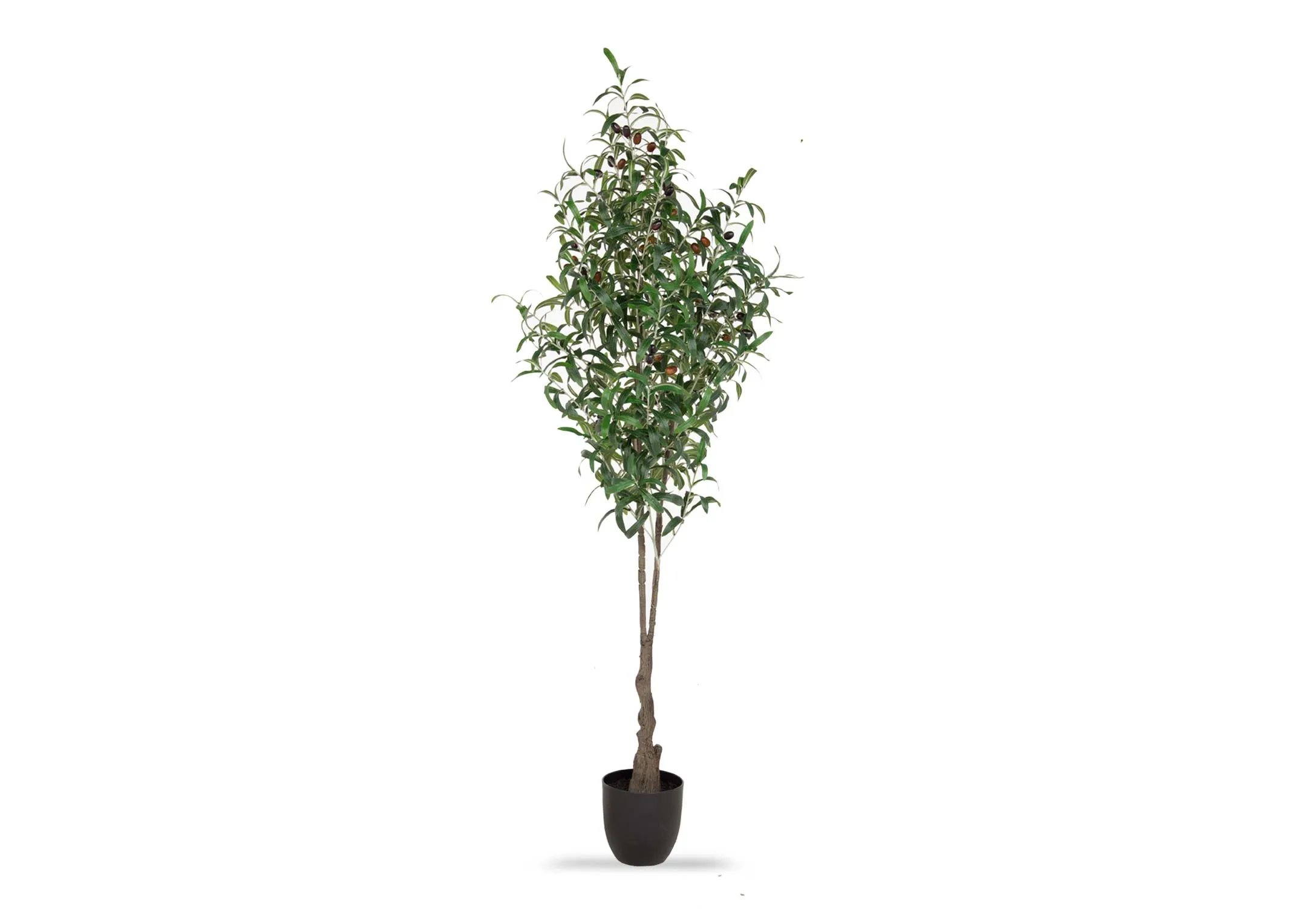 A lifelike artificial olive tree planted ina black pot from EZ Living Furniture's Olive range. Front view.