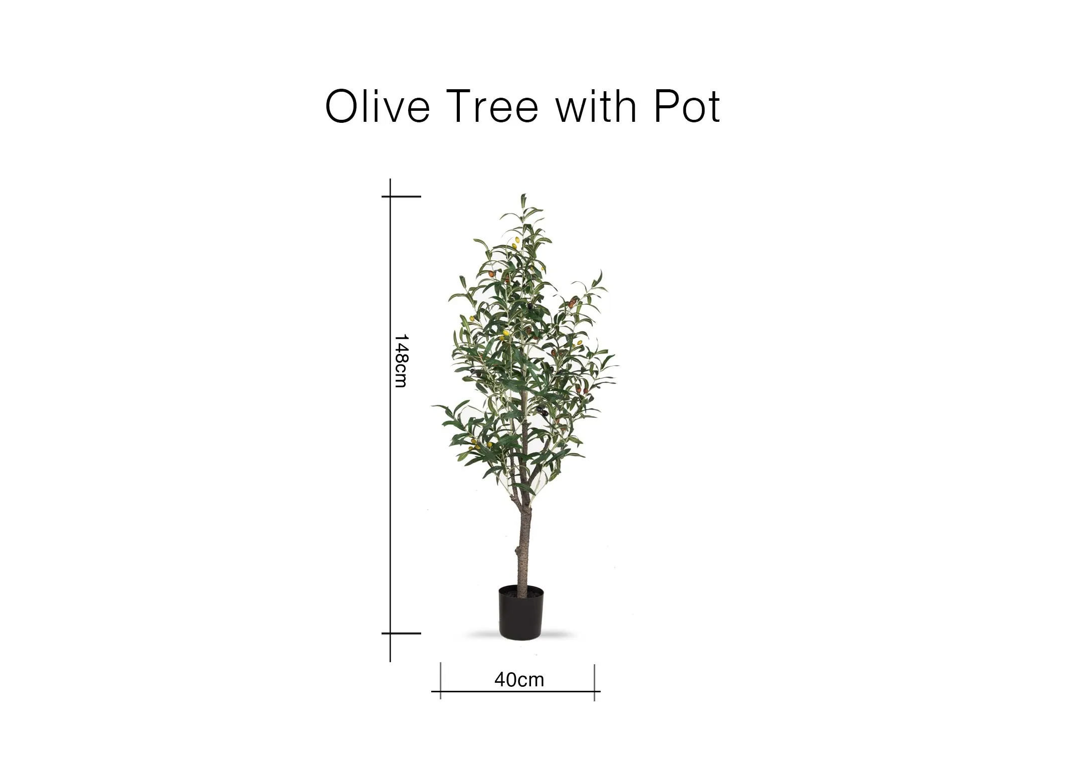 A dimension image of the Olive tree with 108cm x 40cm