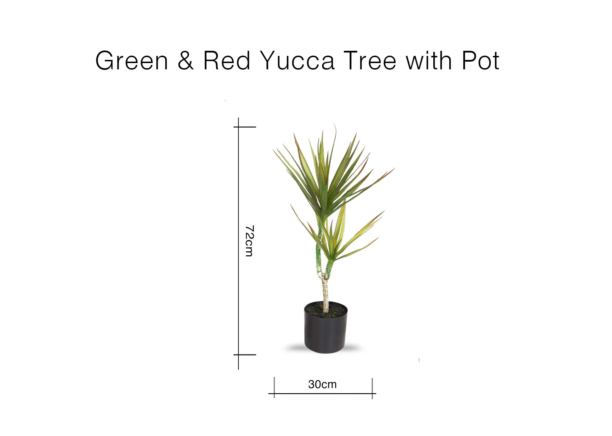 A dimension image of the Yucca Tree with Pot with 72cm