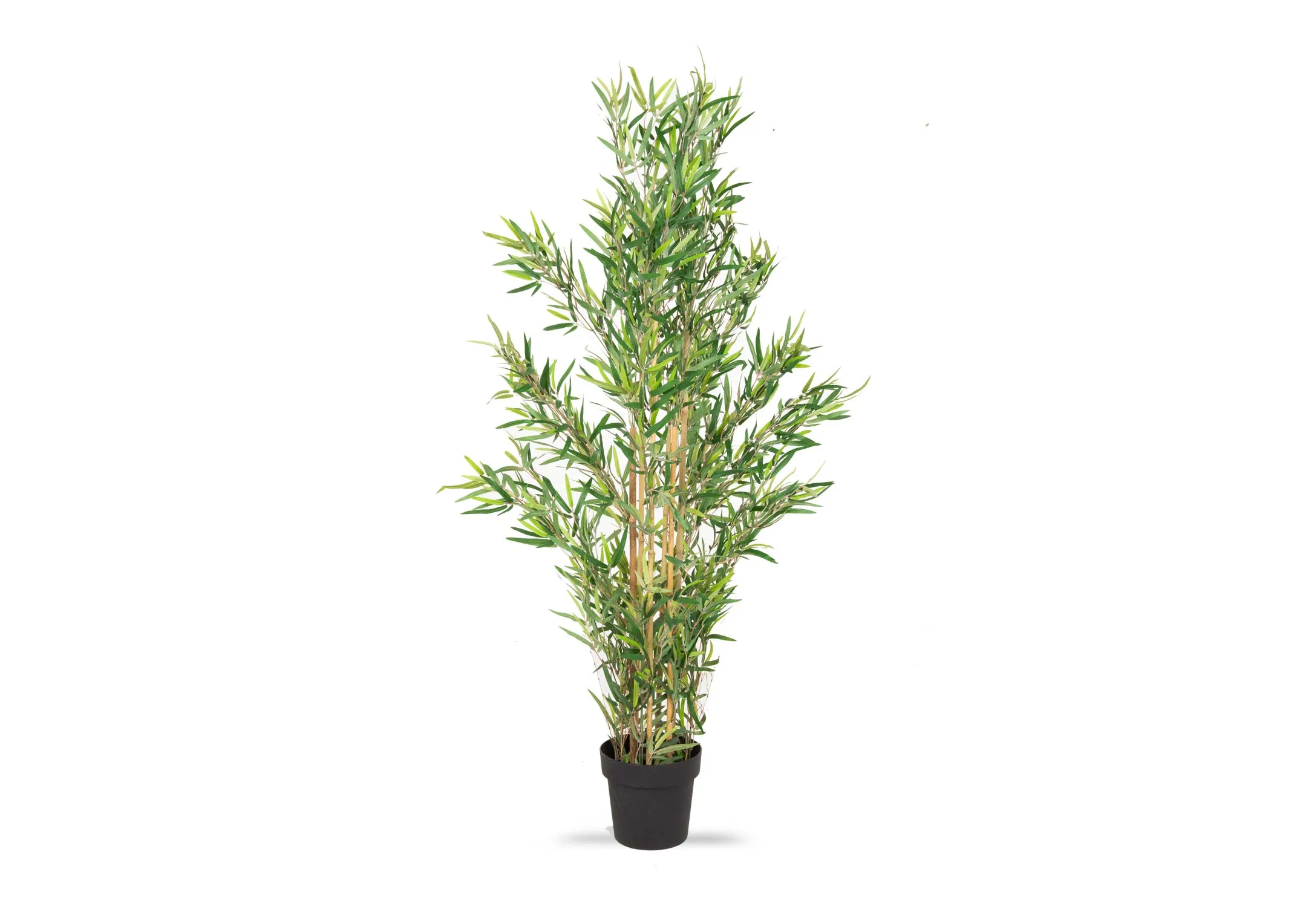An artificial bamboo tree in black pot from EZ Living Furniture's Olive collection. Front view of feathery green foliage.