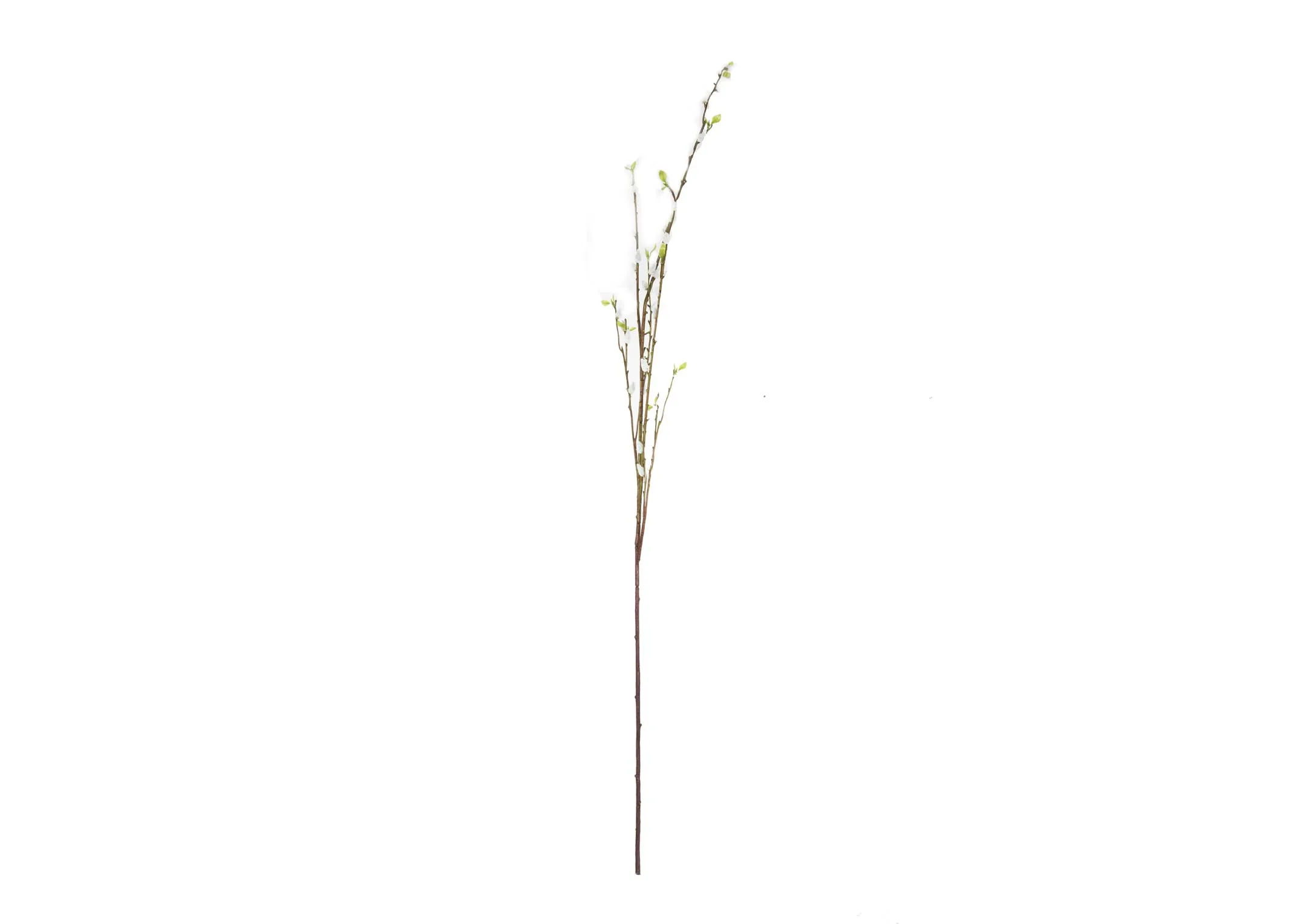 A dimension image of the White Willow Bud Stem with 135cm