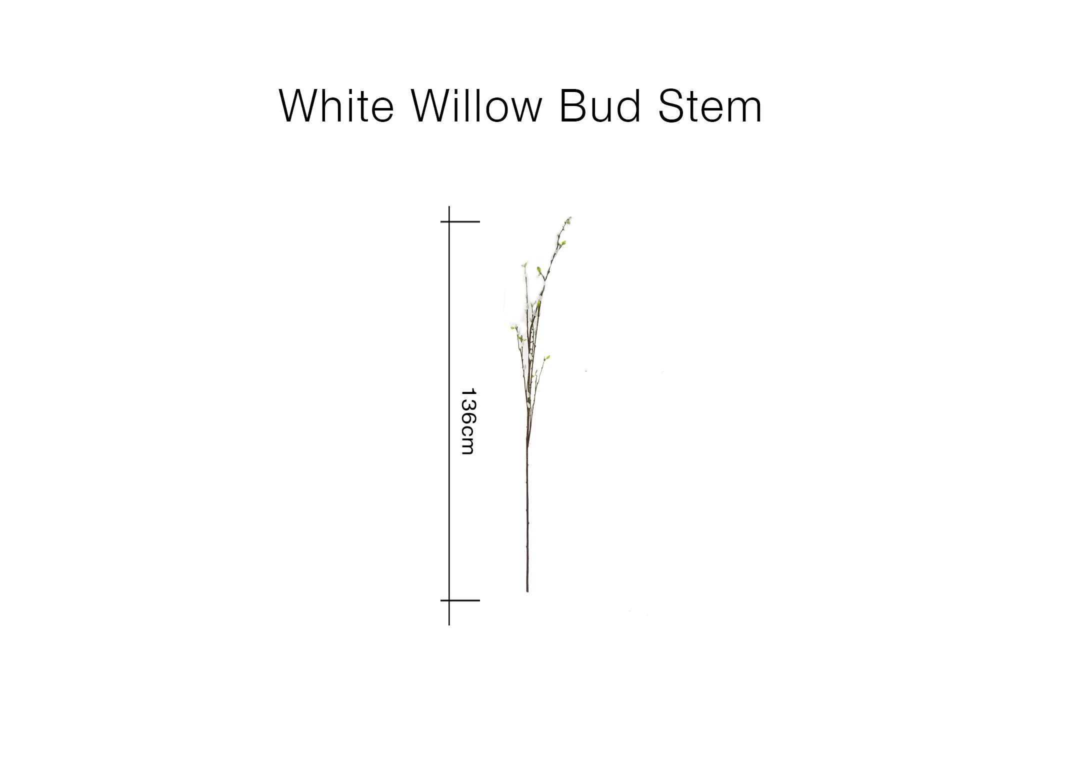Dimensions Image