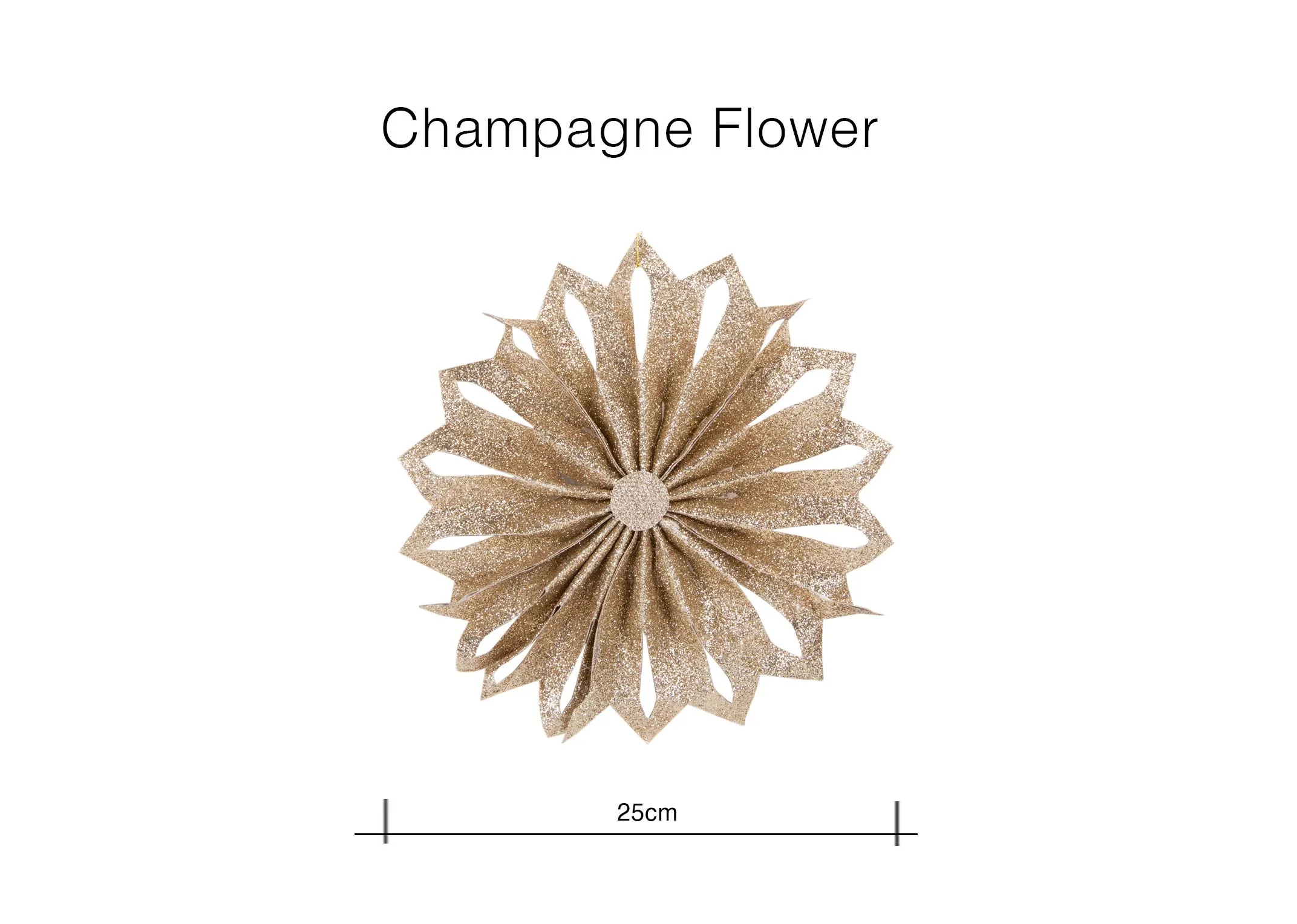 Dimensions Image