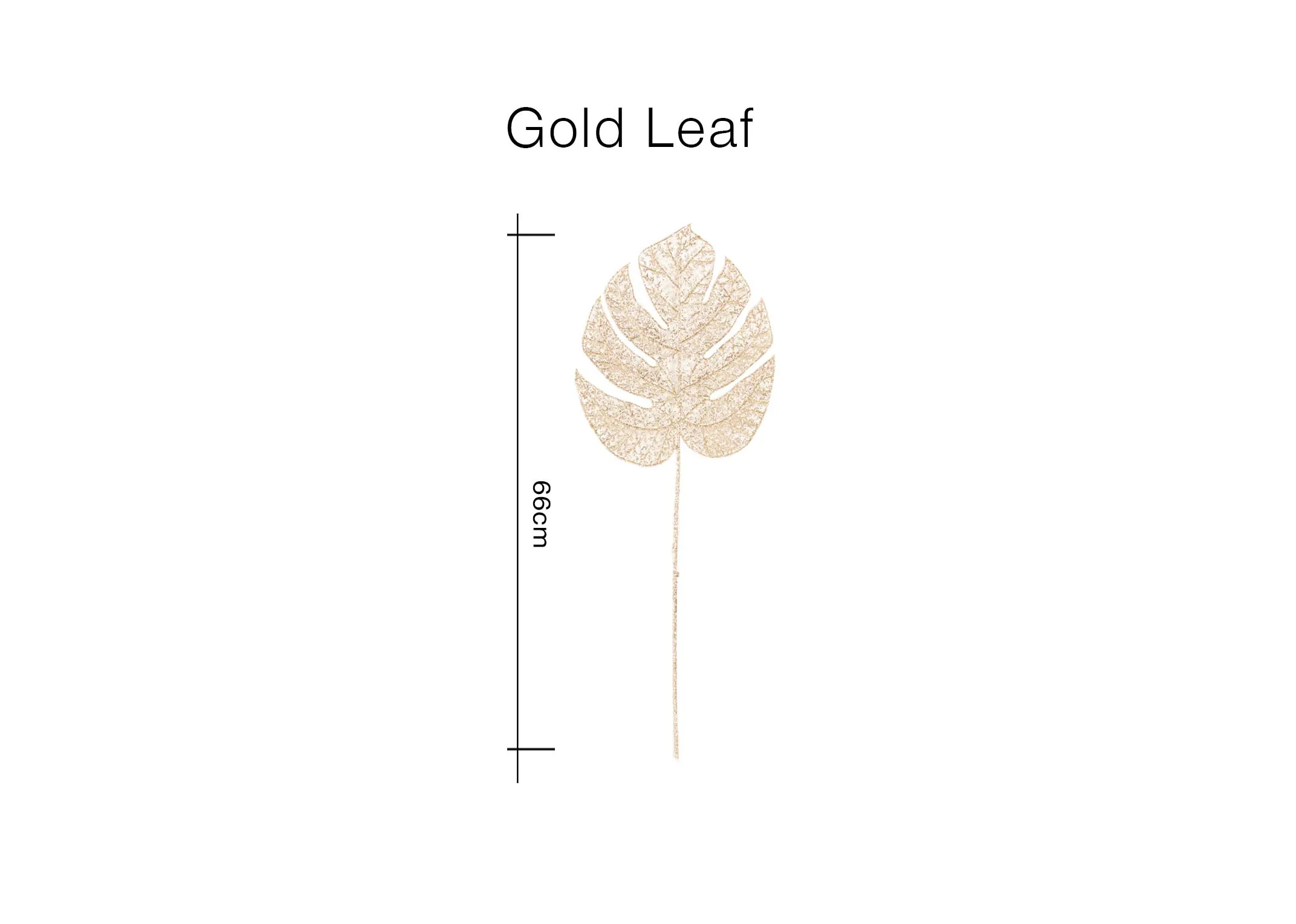 Dimensions Image