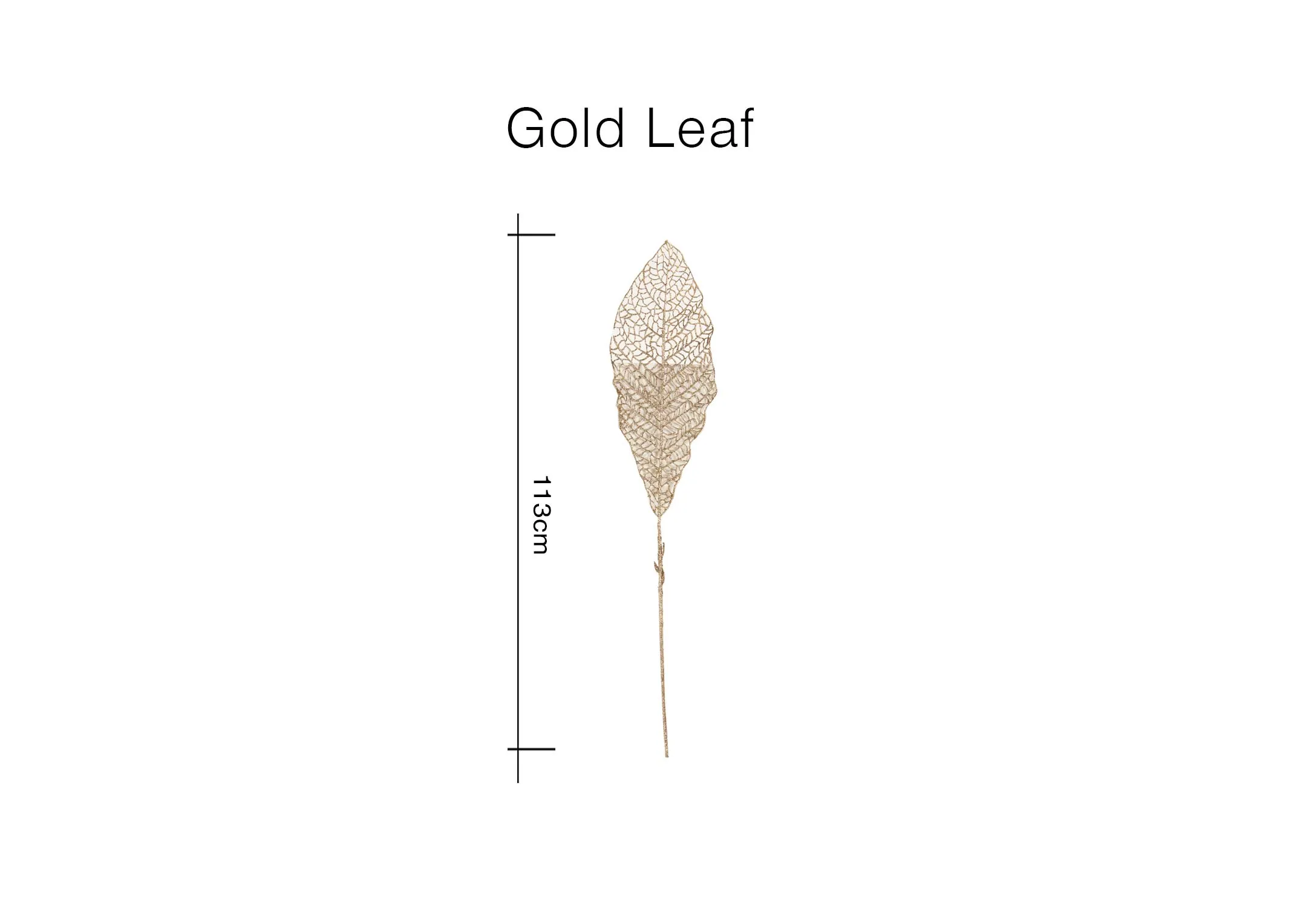 A dimension image of the Gold Leaf with 113cm
