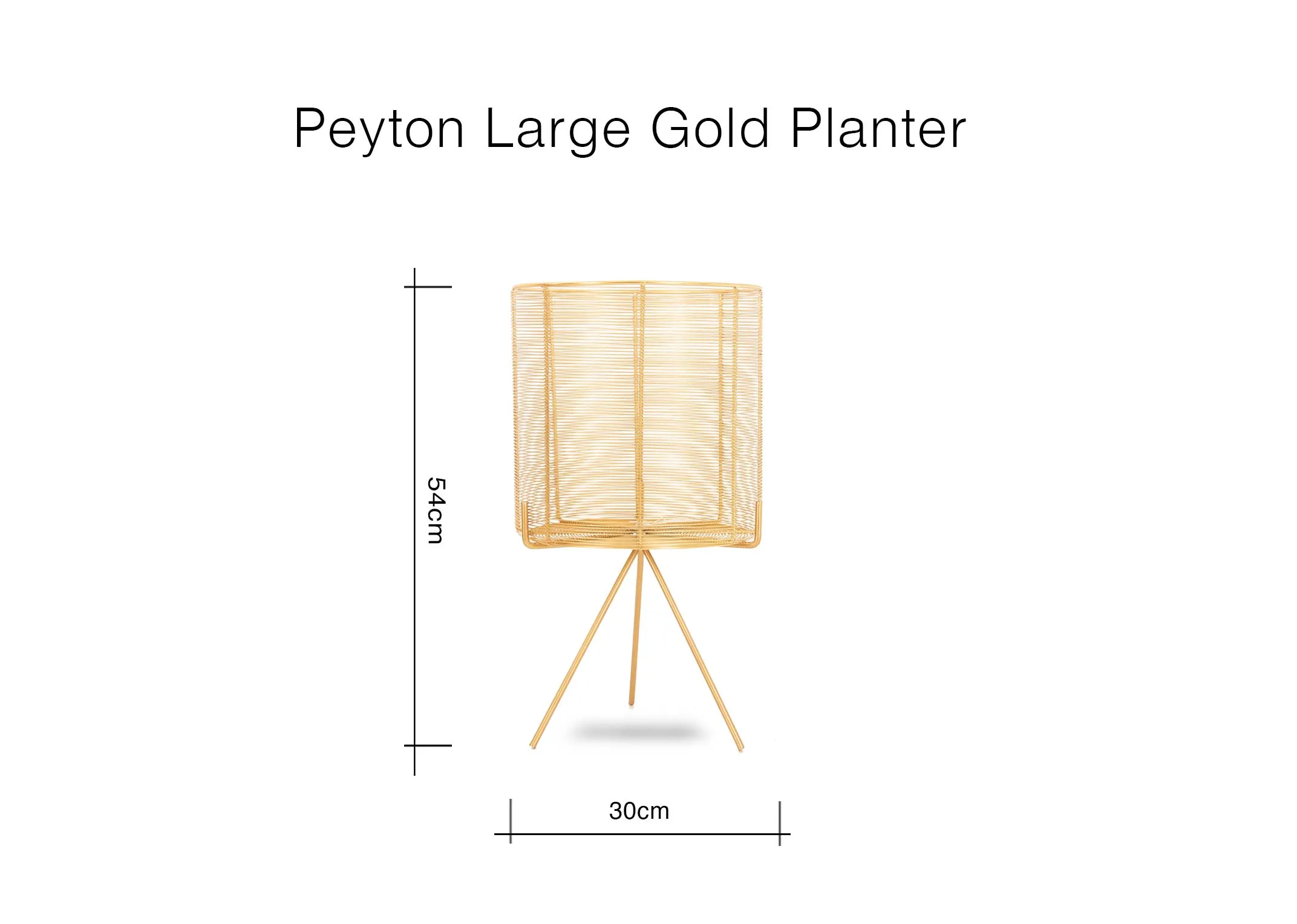 Dimensions Image