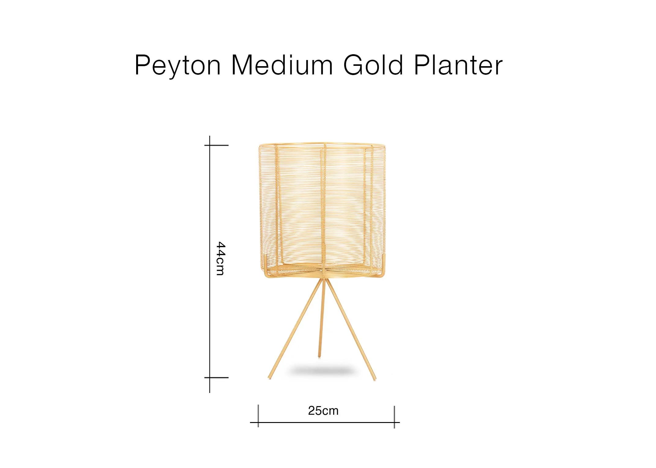 Dimensions Image