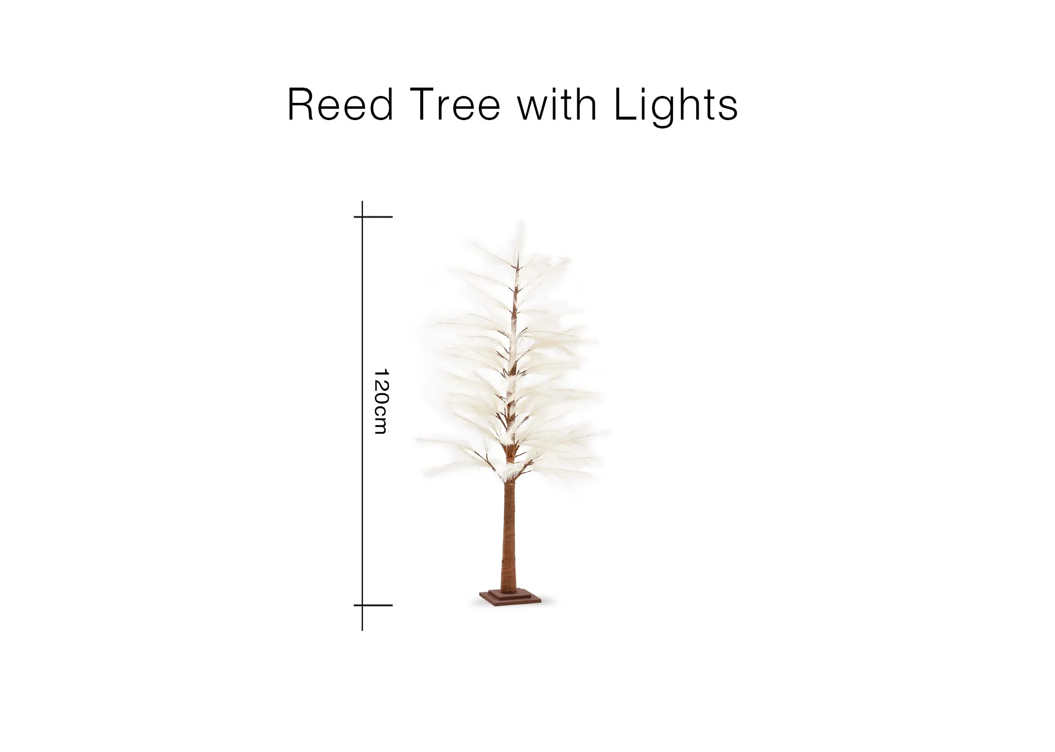 Dimensions Image
