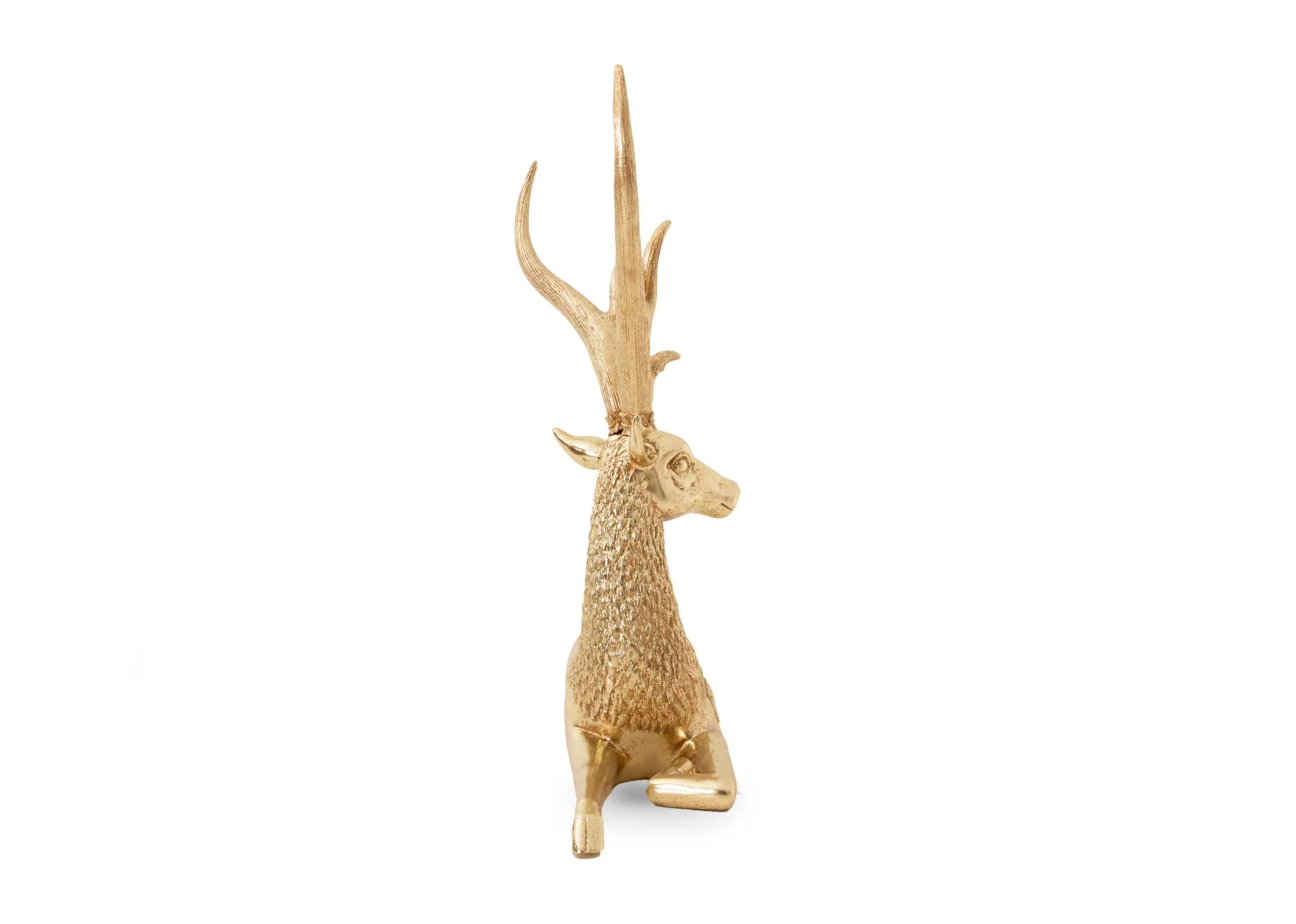 A dimension image of the Large Gold Lying Deer Ornament with 24.5cm x 63cm x 70..5cm
