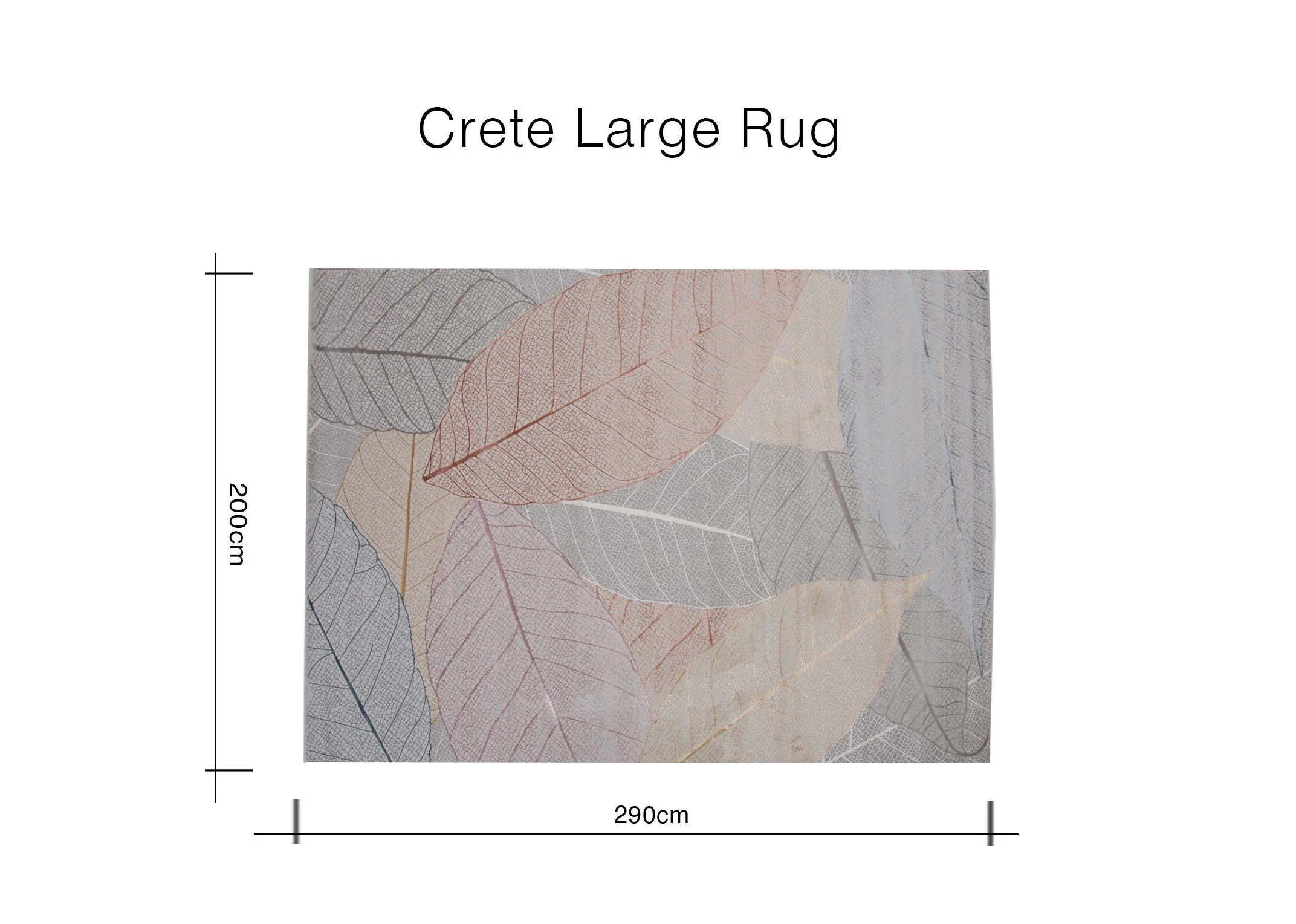 Dimensions Image