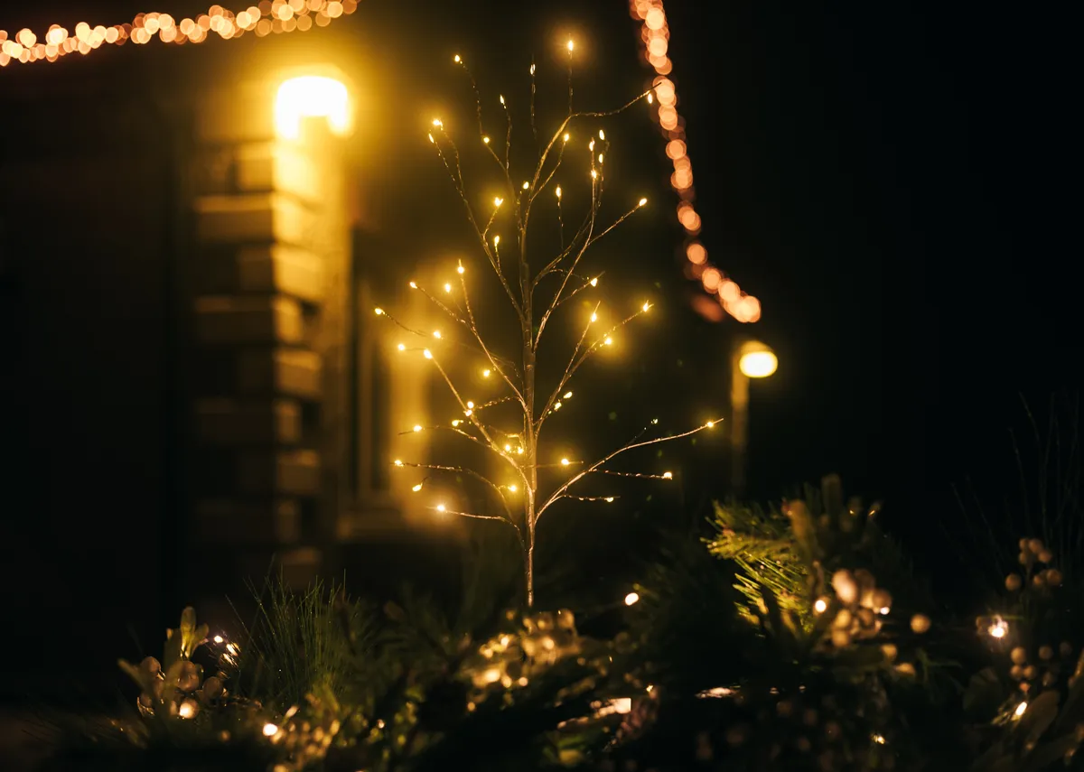 Prancer with 48 Warm White Lights - Christmas Tree