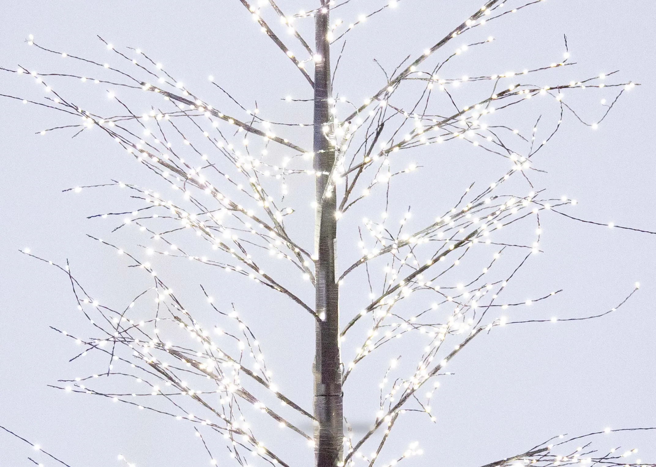 Comet (6ft) with 1300 Warm White LEDS - Christmas Tree