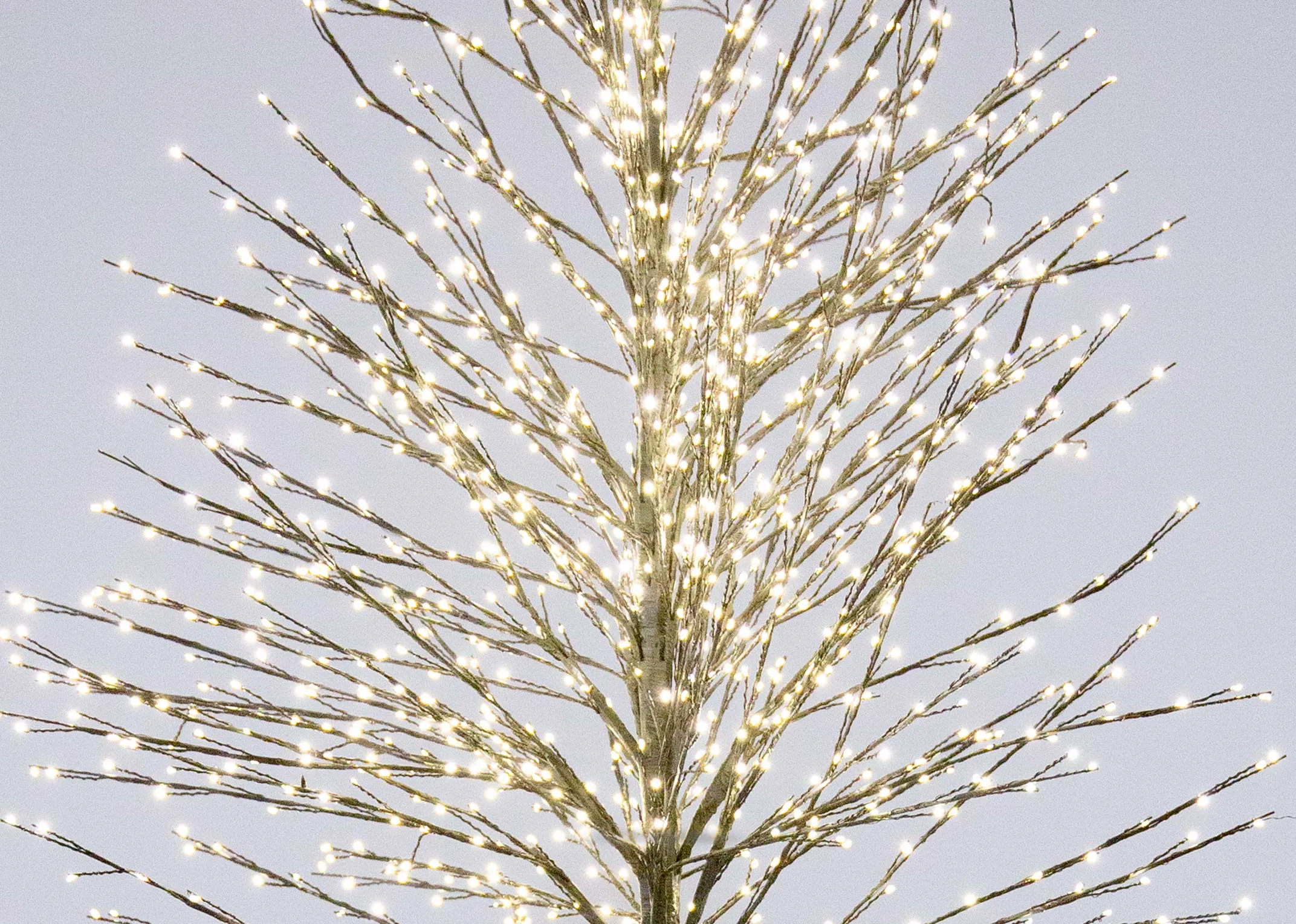 Blitzen (7ft) with 1300 Warm White Lights - Christmas Tree
