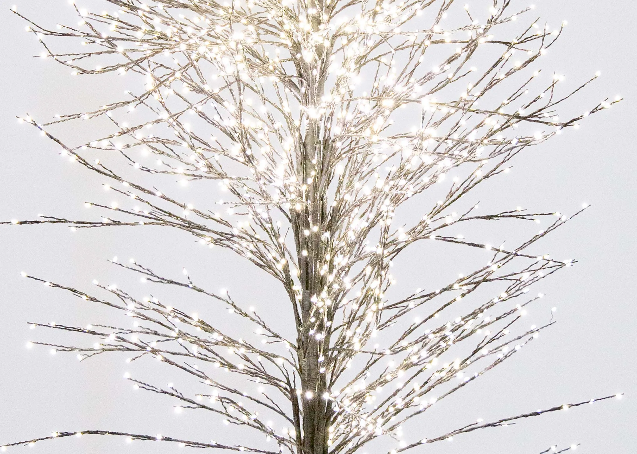 Dasher (7ft) with 2700 Warm White LEDS - Christmas Tree