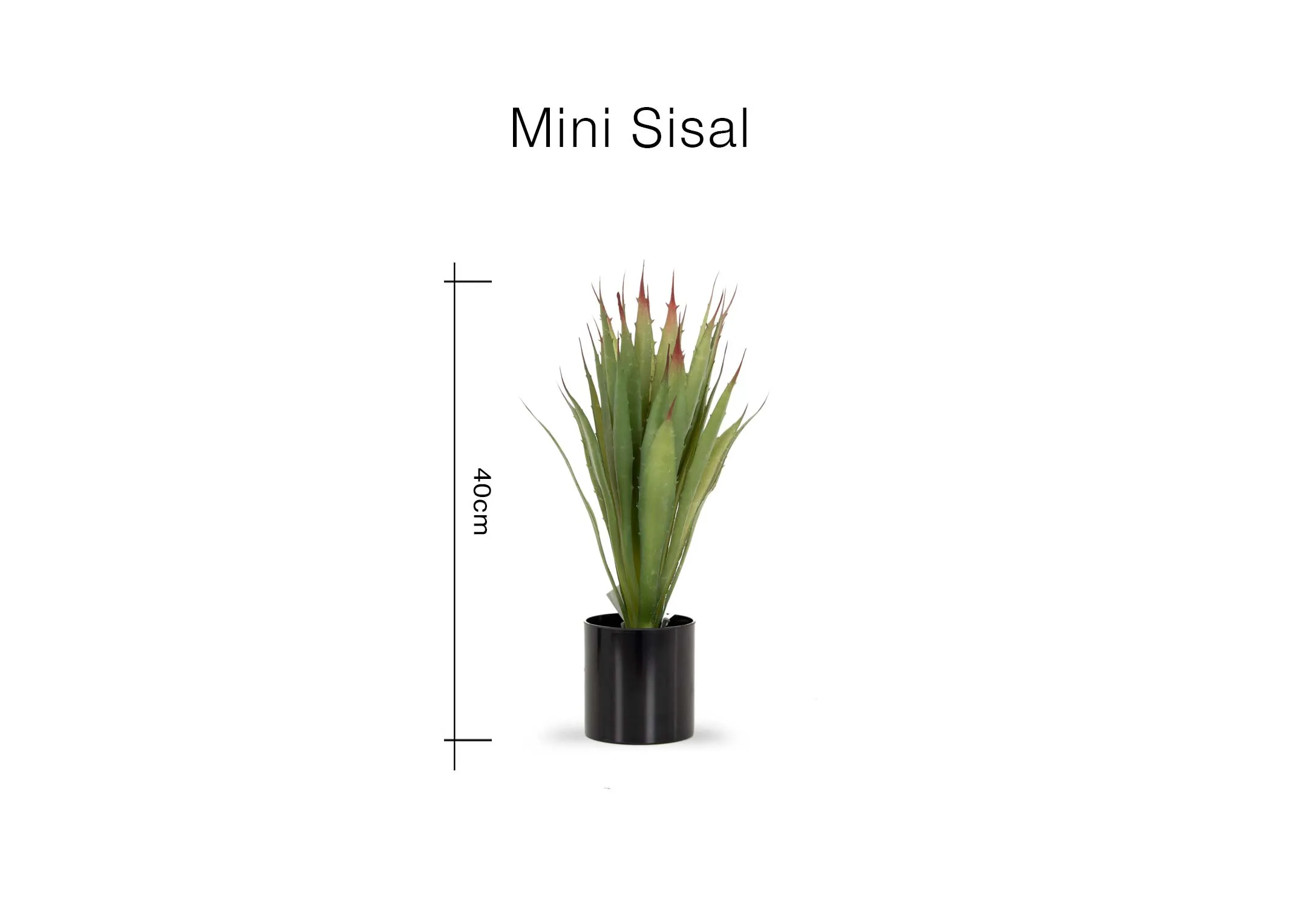 Dimensions Image
