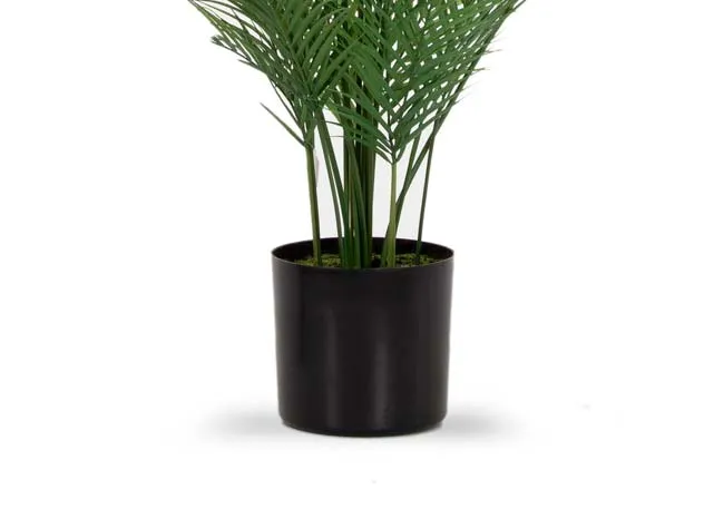 A dimension image of the Palm Tree with 150cm