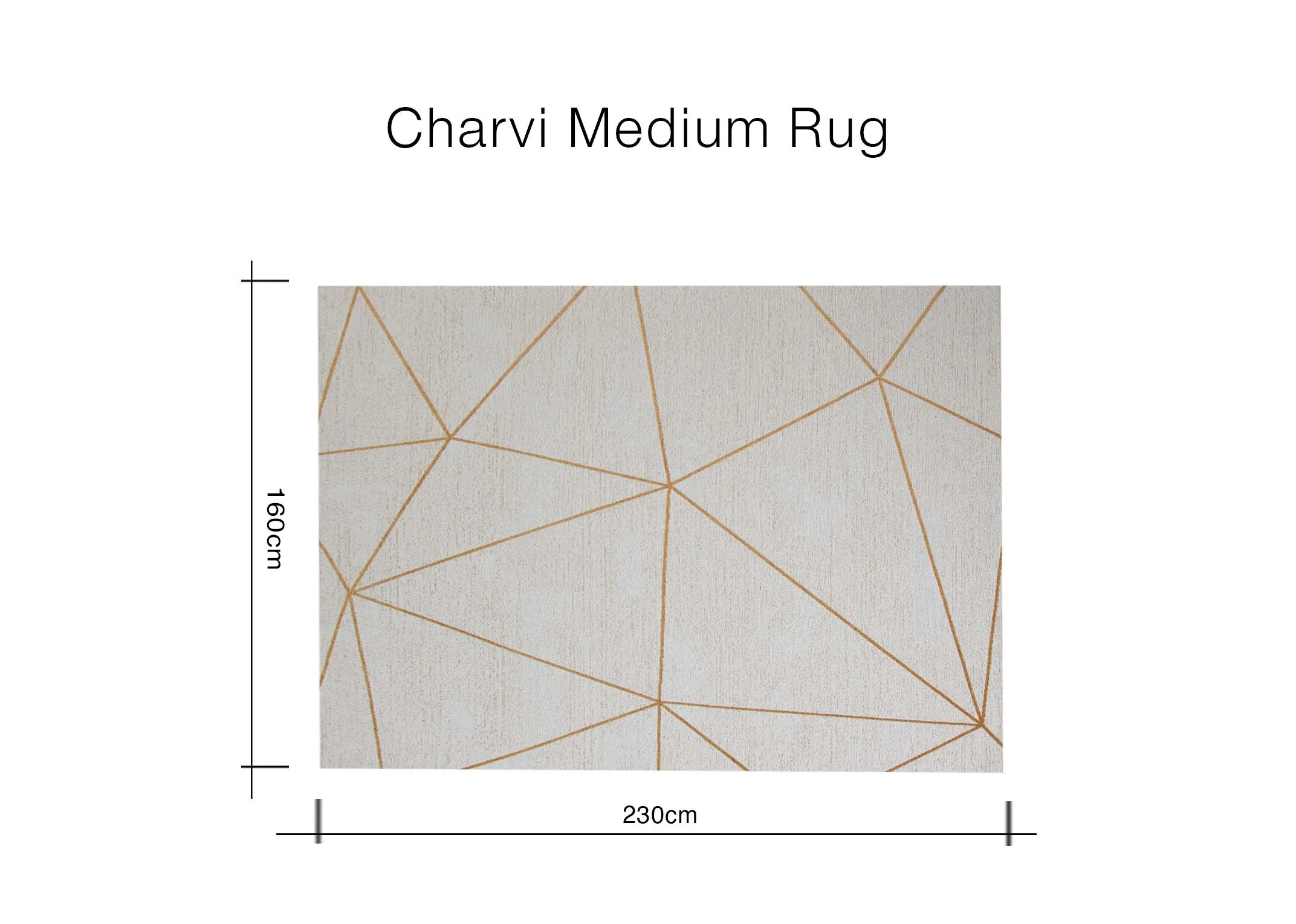 A dimension image of the Charvi Medium Rug with 230cm x 160cm