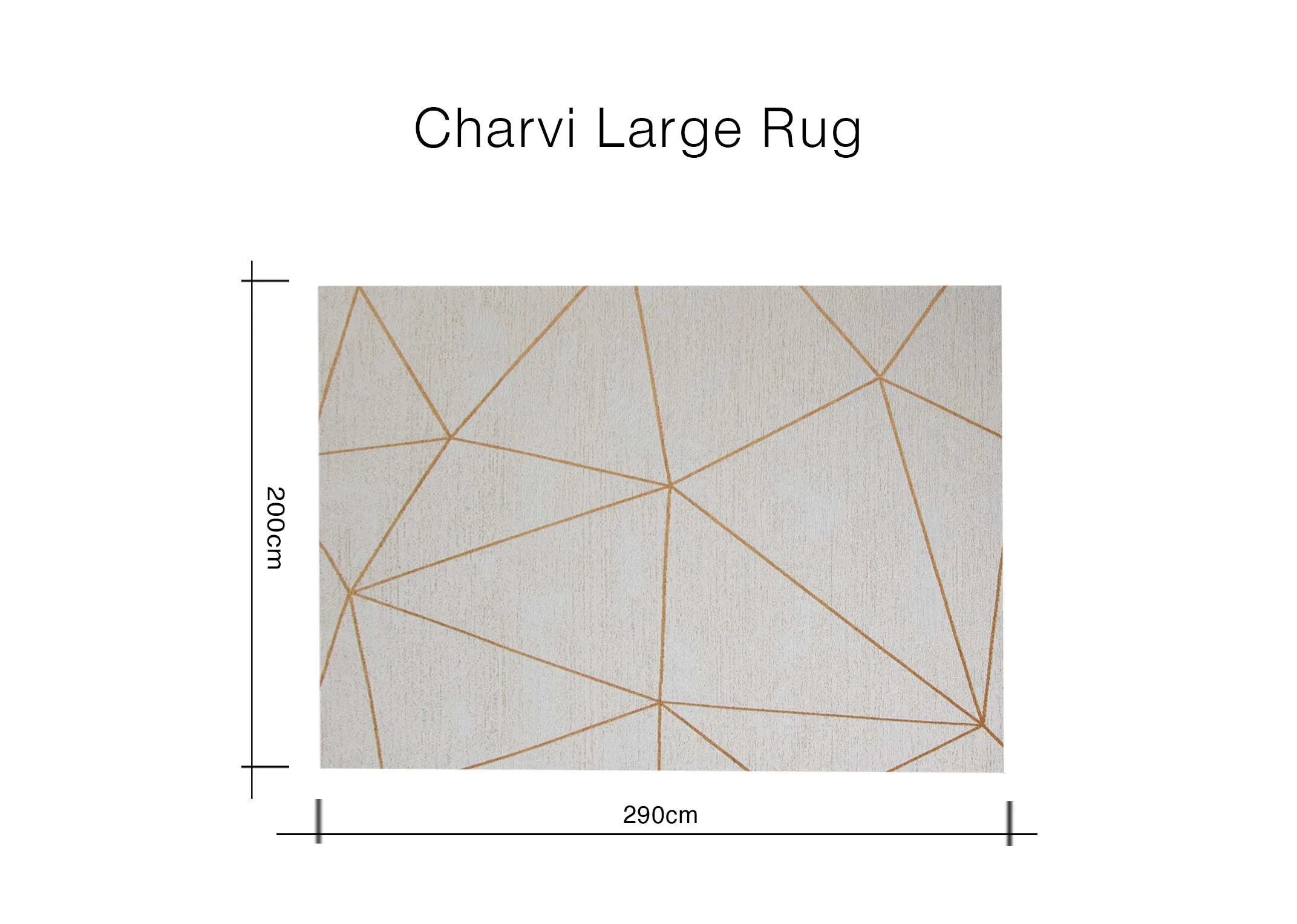 A dimension image of the Large Charvi Rug with 290cm x 200cm