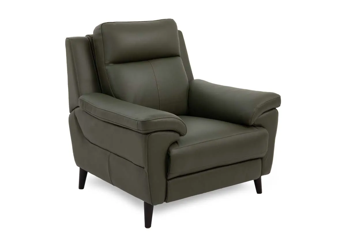 Green Leather Armchair - Elliot