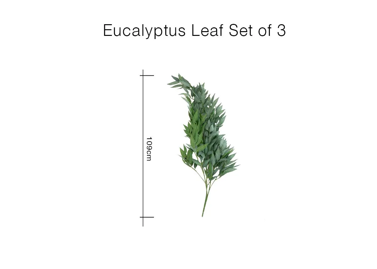 A dimension image of the Eucalyptus Leaf with 109cm