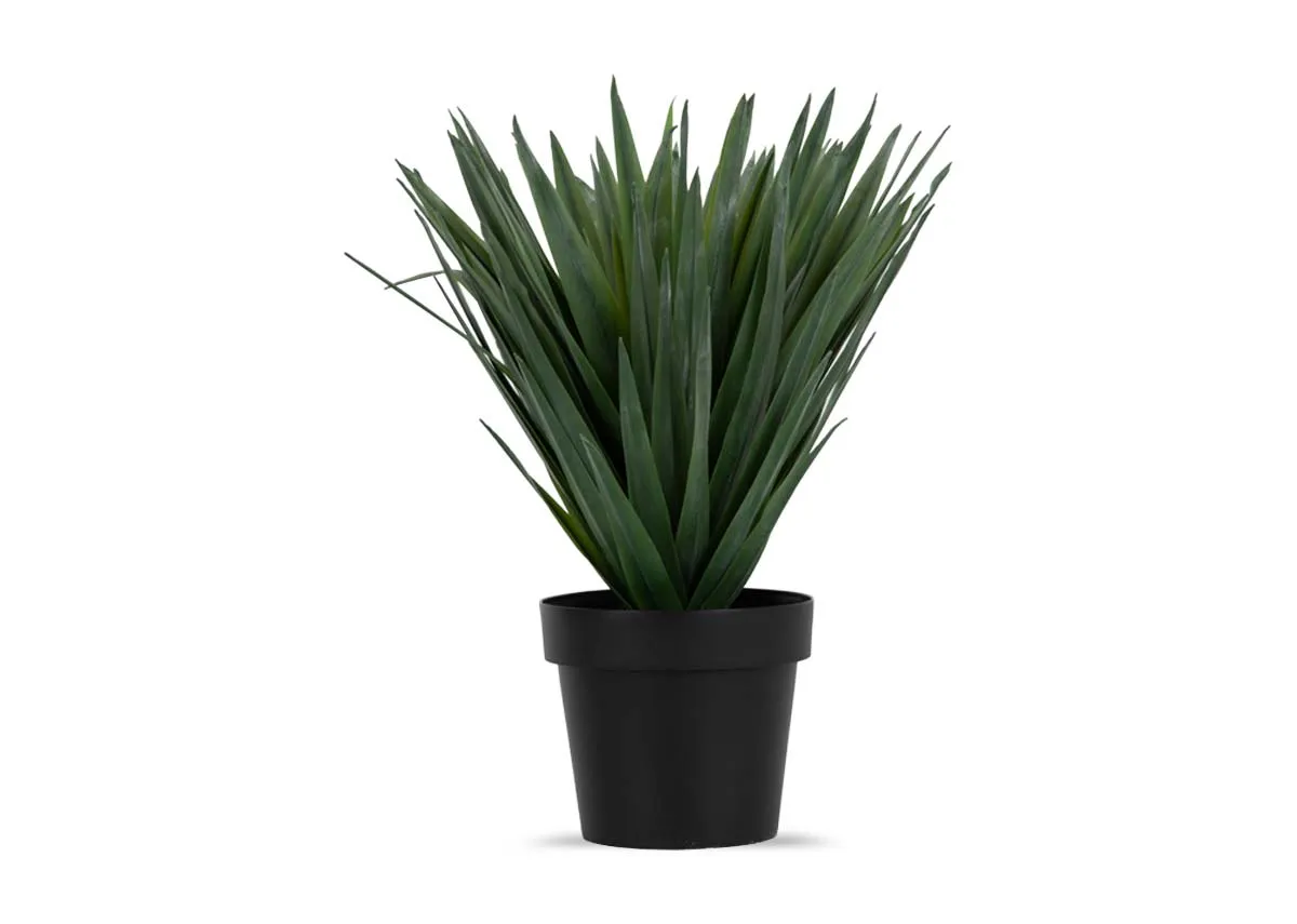 48cm Soft Touch Mini Plant in Pot - Sisal
