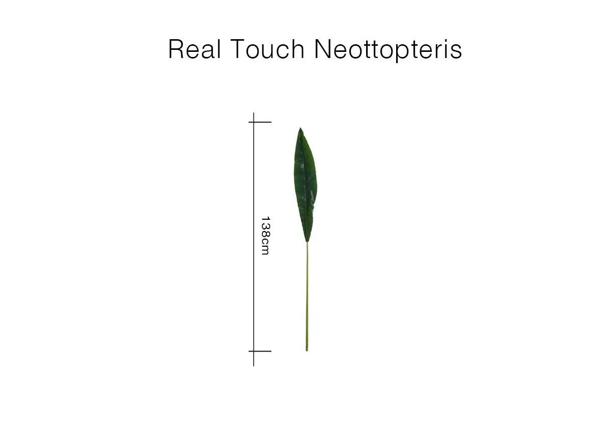 A dimension image of the Real Touch Neottopteris Stem with 138cm