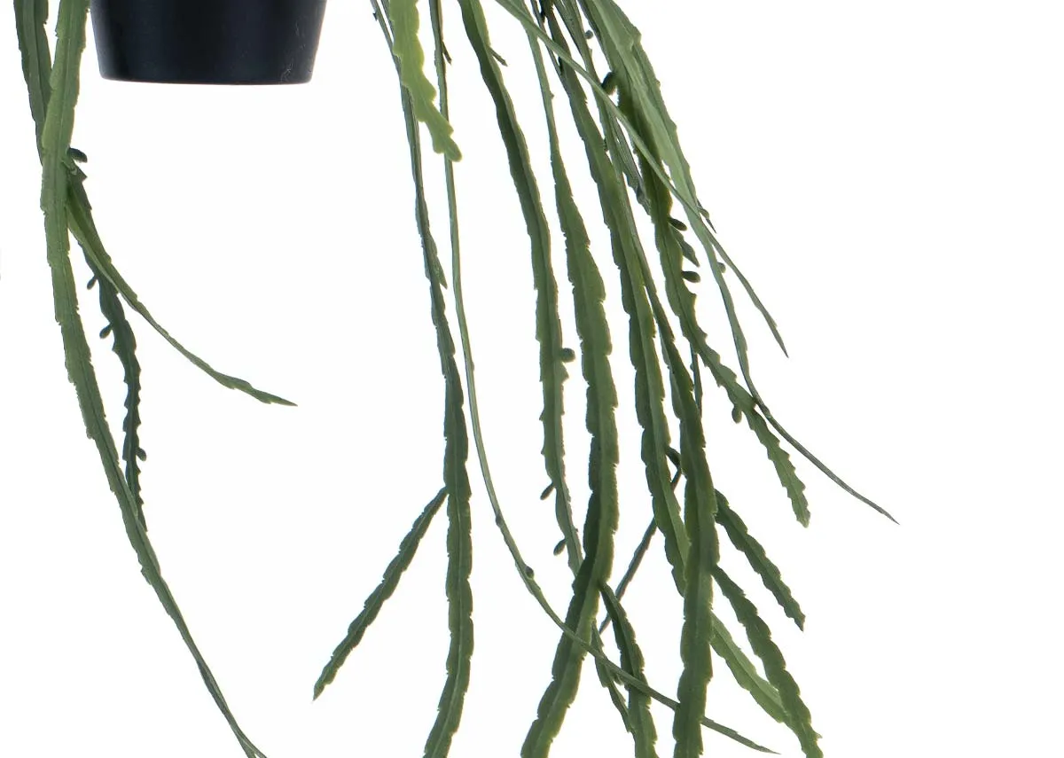 A hanging plant in black pot from EZ Livings Plant range. Closeup of artificial leaves