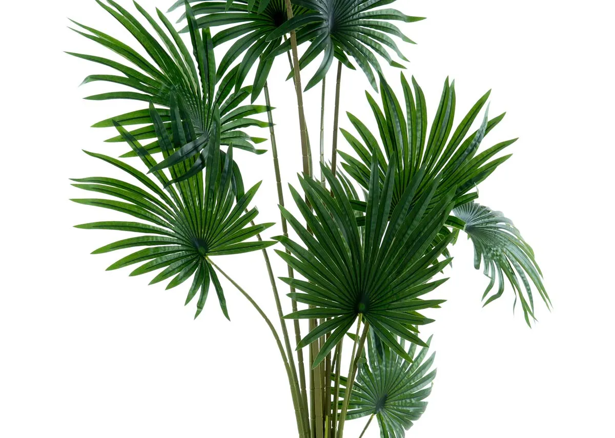 A palm tree in a black pot from EZ Livings Artificial plant range.Closeup of authetic look fan palm leaves