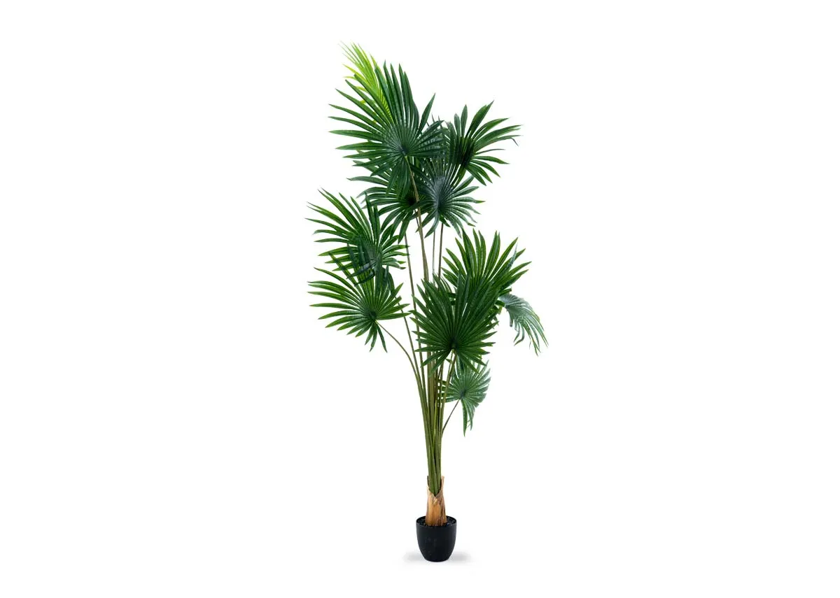 A palm tree in a black pot from EZ Livings Artificial plant range. Angled view