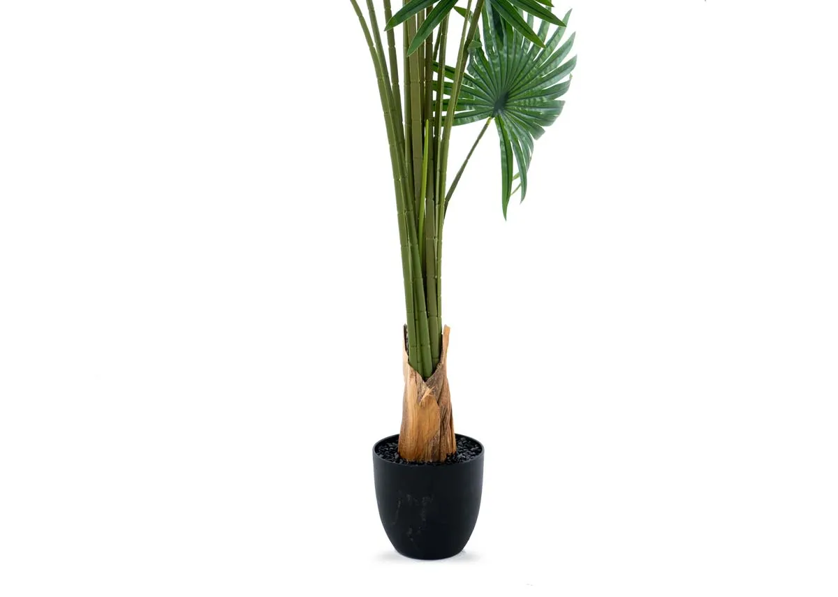 A palm tree in a black pot from EZ Livings Artificial plant range.Closeup of black pot