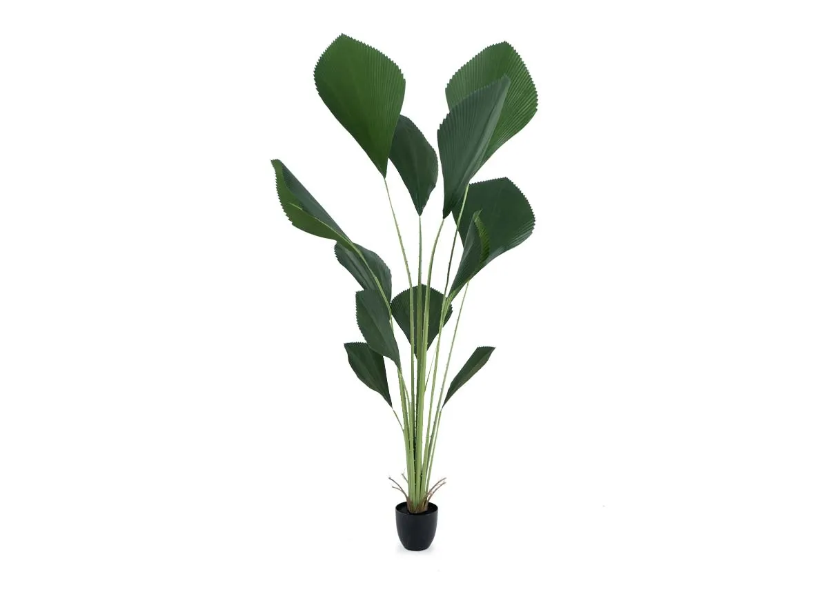 203cm Artifical Tree in Pot - Johanne