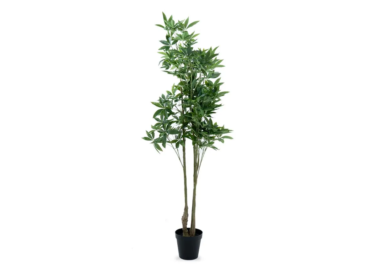 241cm Artificial Tree in Pot - Pachira