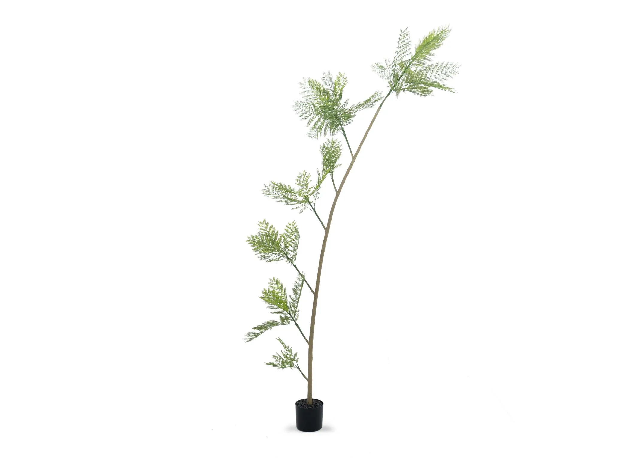 230cm Artificial Tree in Pot - Jacaranda