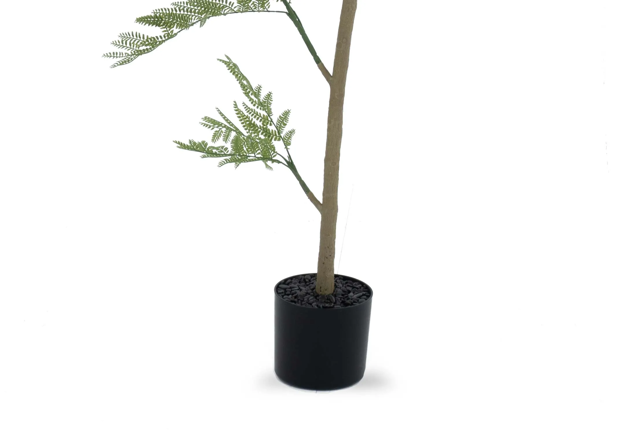 A dimension image of the Jac Tree in pot with 230cm