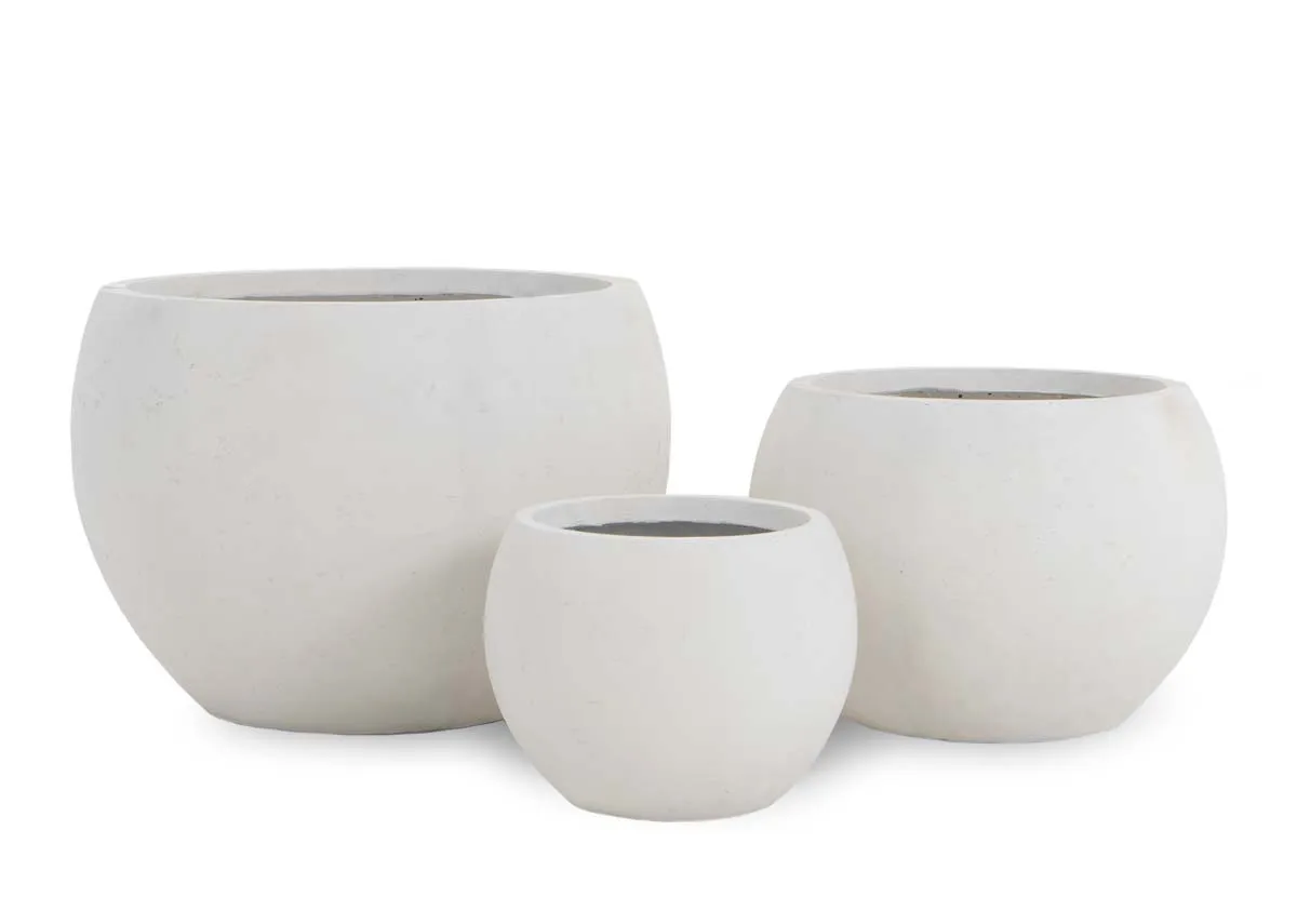 A set of 3 white clay planters from EZ Livings Salerno range. Front view of round planters
