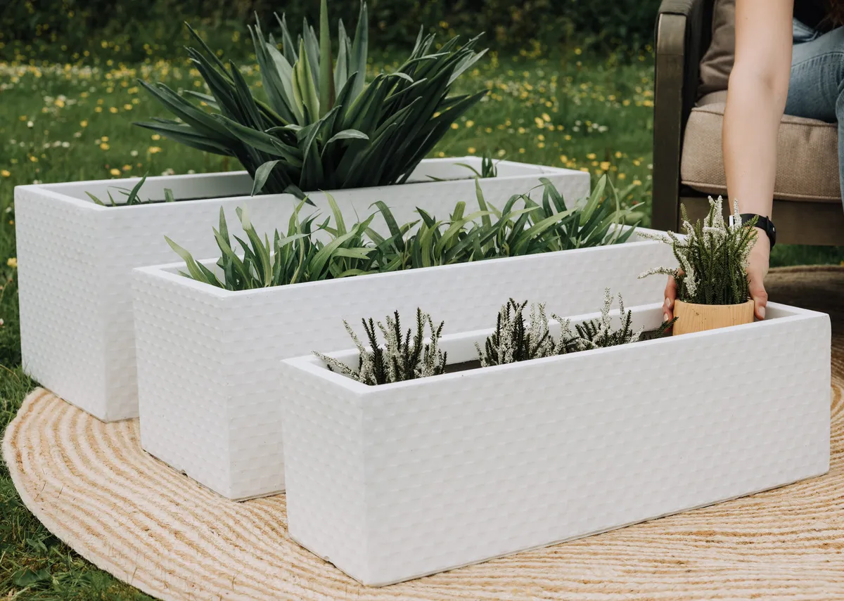 Set Of 3 White Rattan Clay Planter - Forli