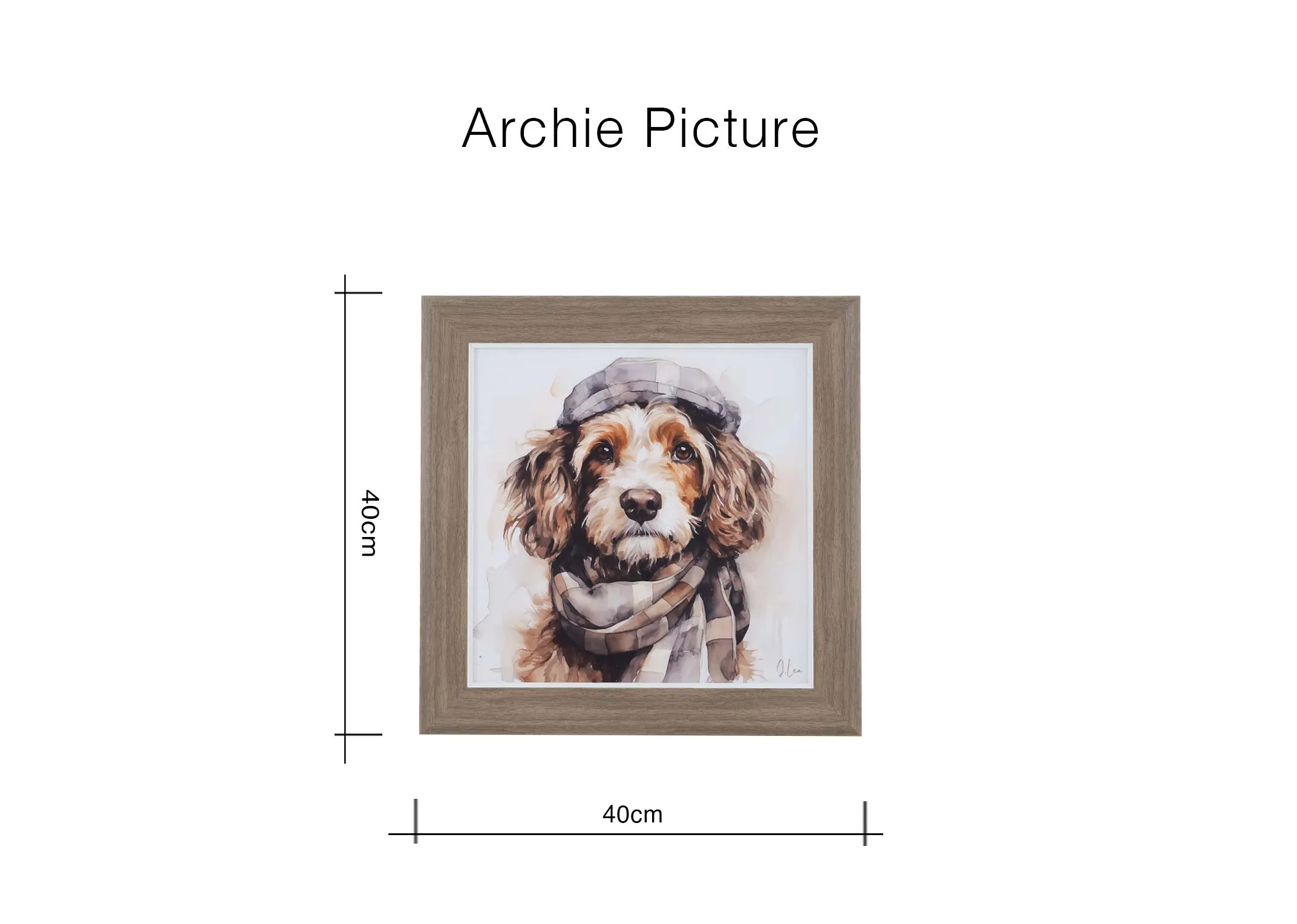A dimension image of the Archie wall print with 40cm x 40cm