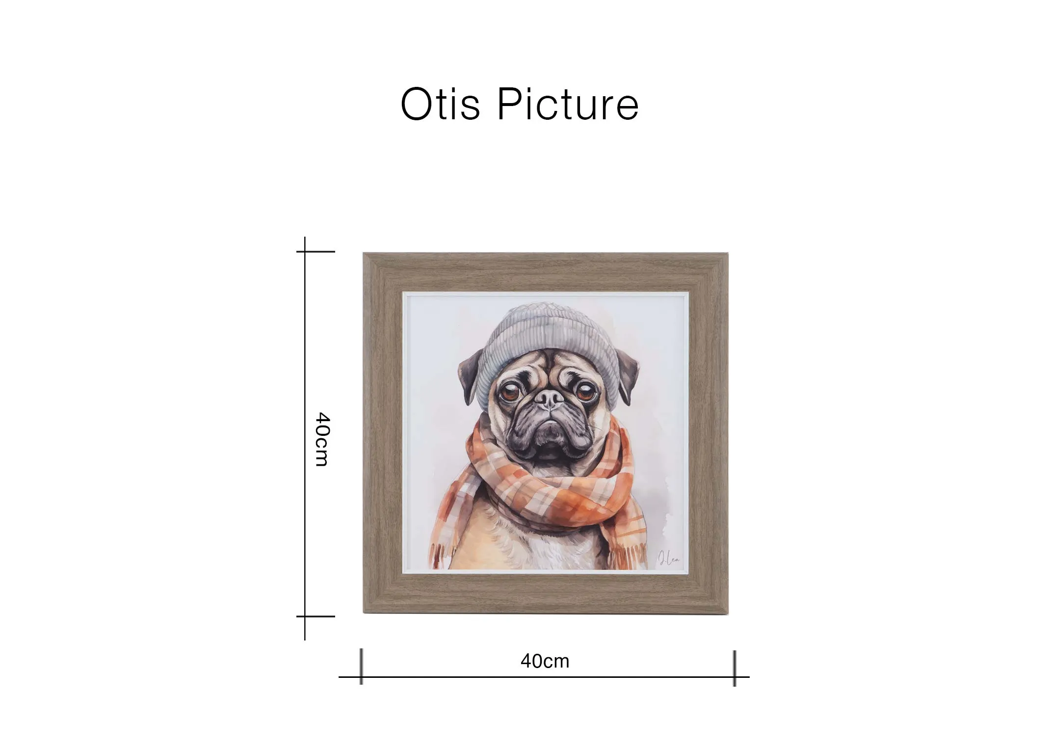 A dimension image of the Otis Picture with 40cm x 40cm