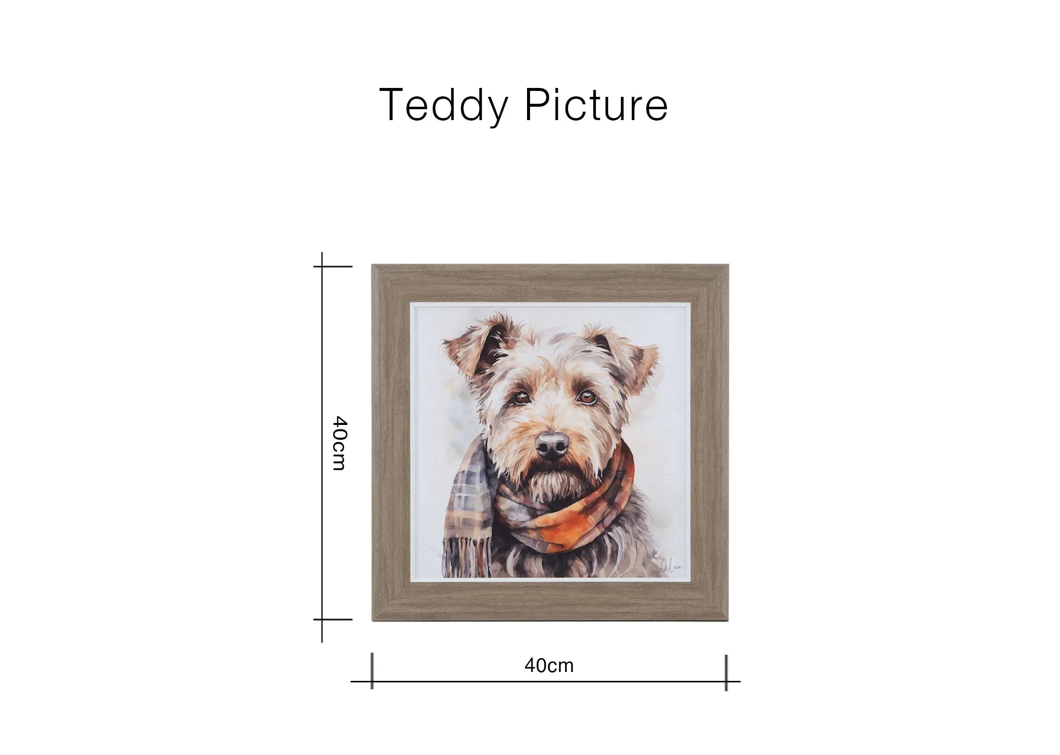 Dimensions Image