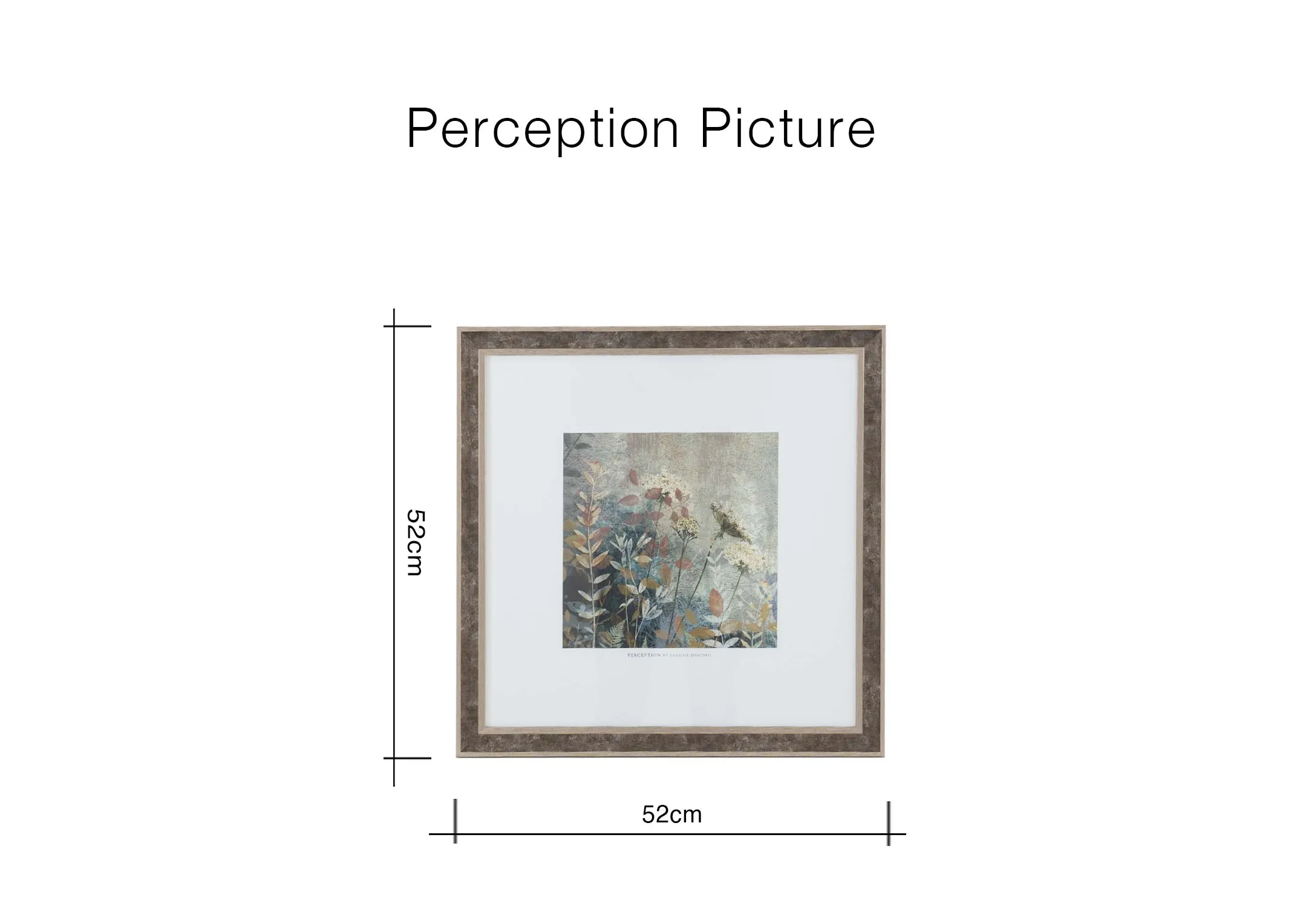A dimension image of the Perception with 58cm x 58cm