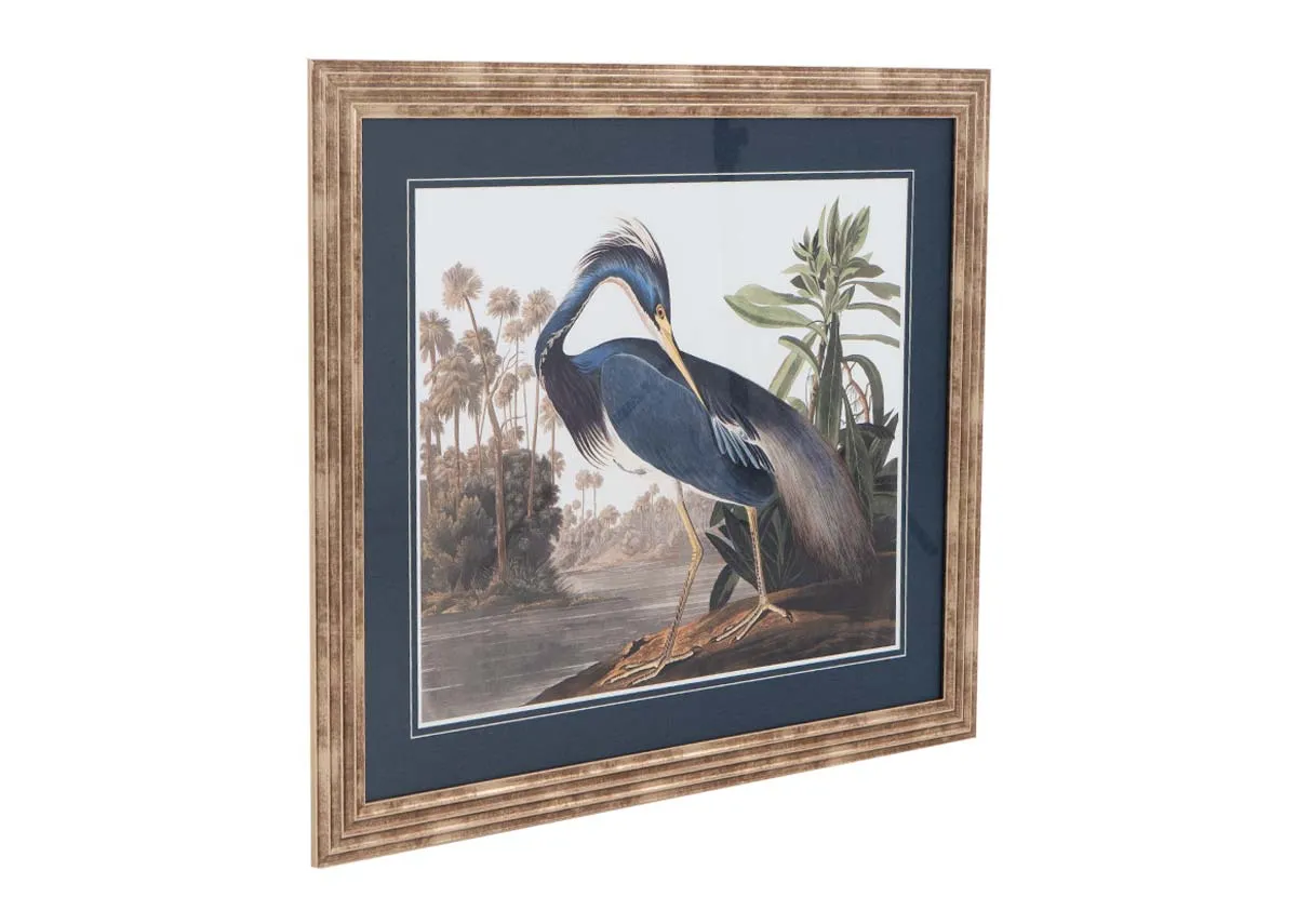 ion image of the Louisiana Heron with 76cm x 88cm