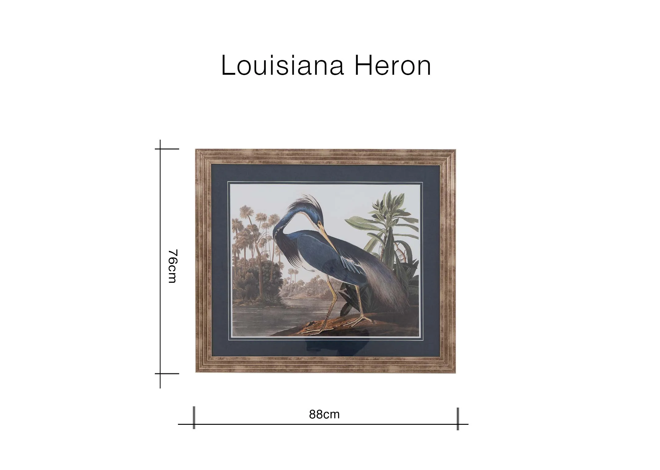 Dimensions Image