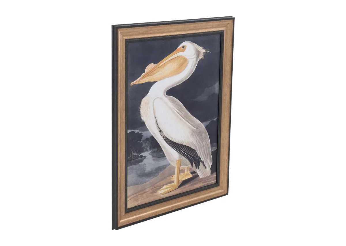 A dimension image of the White Pelican print with 85cm x 105cm